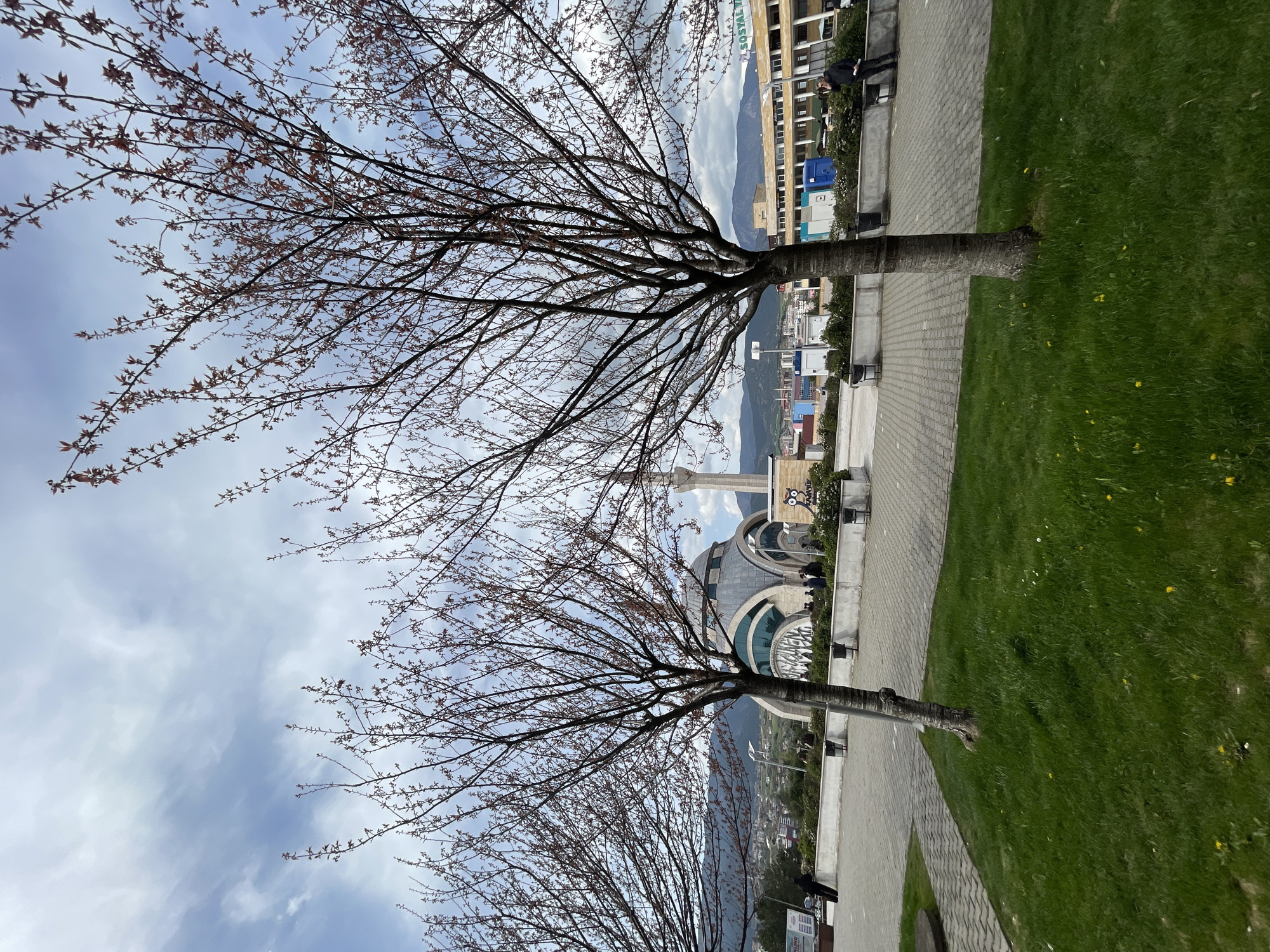 The image is taken outdoors in Karabük, Turkey. Two bare trees with thin branches are in the foreground, their trunks visible on the right side of the frame. The trees are on a sidewalk paved with grey rectangular blocks. Adjacent to the sidewalk is a green lawn with scattered yellow flowers. In the background is a large, modern mosque with a grey dome and a tall, slender minaret. Behind the mosque is a view of the city, with buildings and mountains visible in the distance under a cloudy sky. The image is taken at ground level and has a slight perspective looking up towards the trees and the mosque.