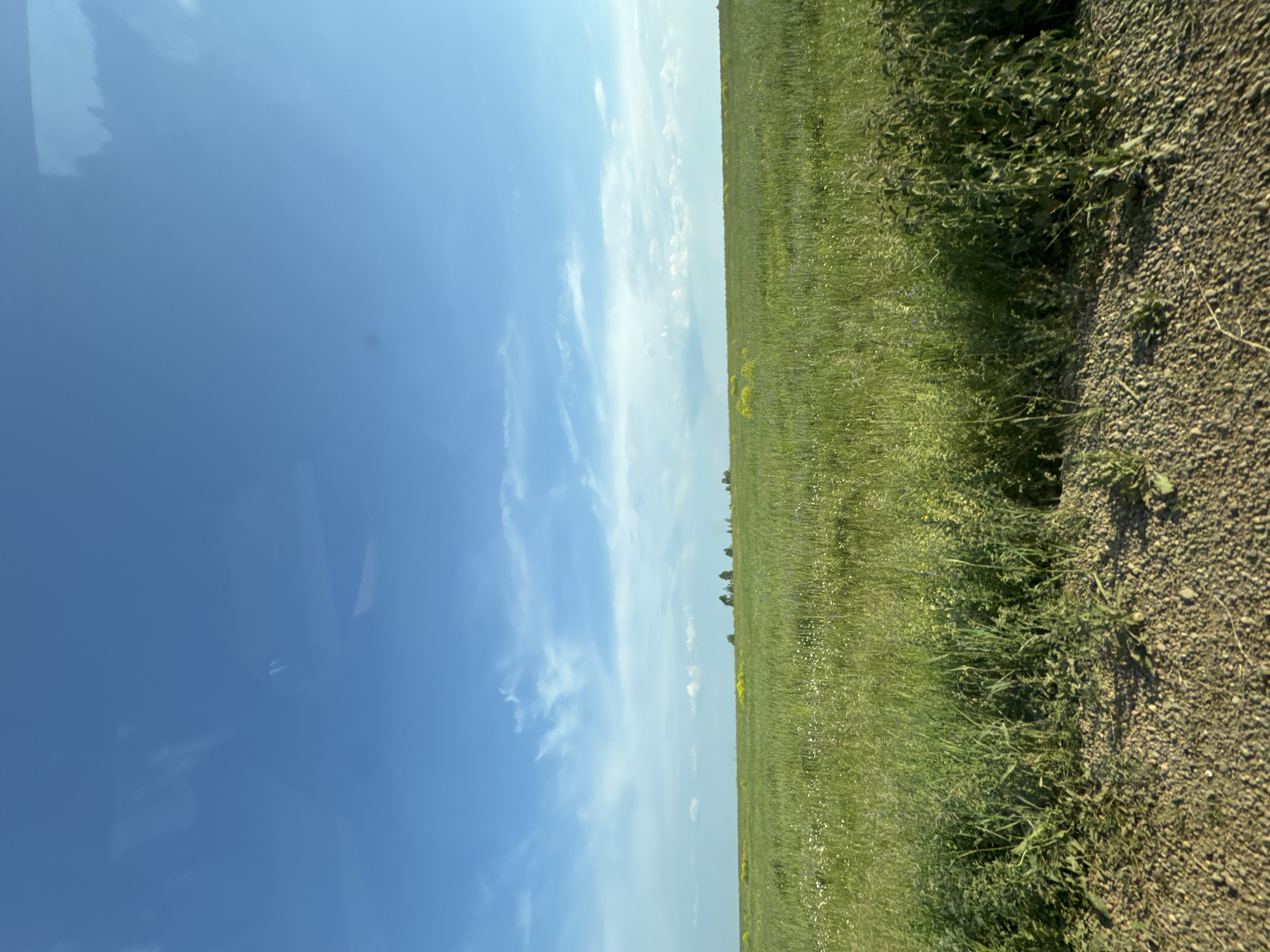 The image depicts a flat, grassy field under a vast blue sky with scattered white clouds. The foreground consists of a gravel path. In the distance, a line of trees is visible on the horizon, with patches of yellow flowers interspersed within the green grass. The scene appears to be located in the city of Van'ki, Russia. There are no people or animals visible in the image, and no actions or interactions are taking place. The environment is natural and rural.