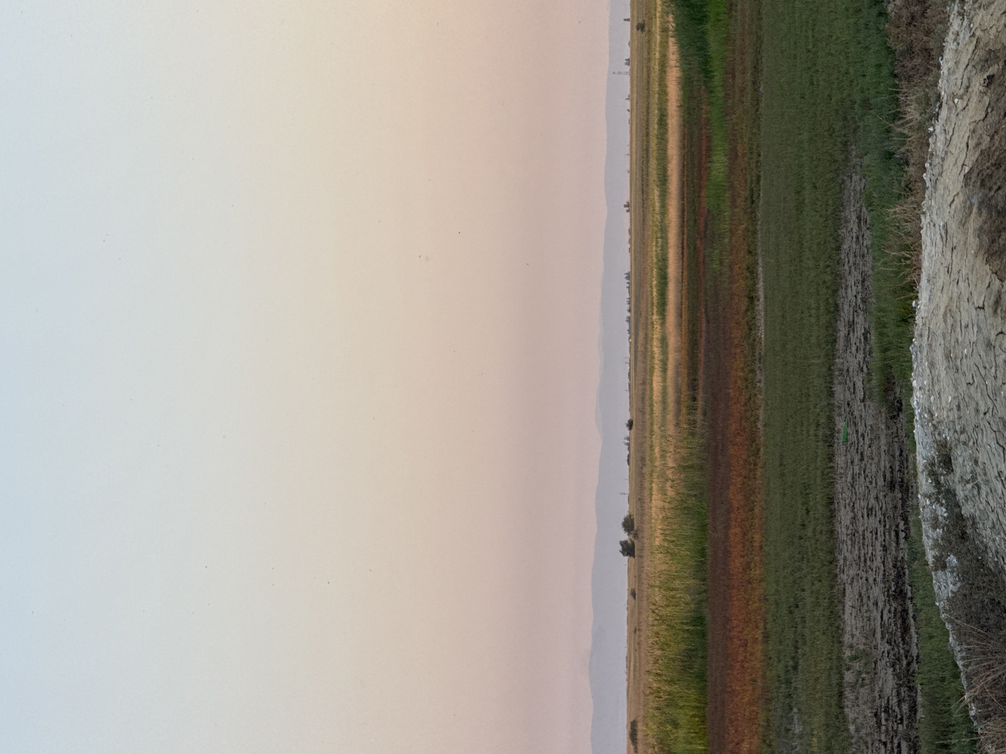A wide, horizontal, slightly elevated view captures a sun-drenched landscape at dusk, with the sky transitioning from a pale blue at the top to a warm peach hue closer to the horizon. The horizon is dominated by a distant, muted mountain range and a scattering of trees and structures, including what appears to be a smokestack. In the foreground, a vast, open field unfolds, divided into horizontal bands of varying vegetation. The closest section of the field is a dry, cracked earth embankment. Behind this, a band of dark, green grass leads to a vibrant stripe of reddish-brown vegetation, followed by a wide expanse of golden-green reeds and grasses. The overall impression is one of rural tranquility under a soft, fading light, consistent with the pastoral environment of Некрасовское сельское поселение, Ukraine.