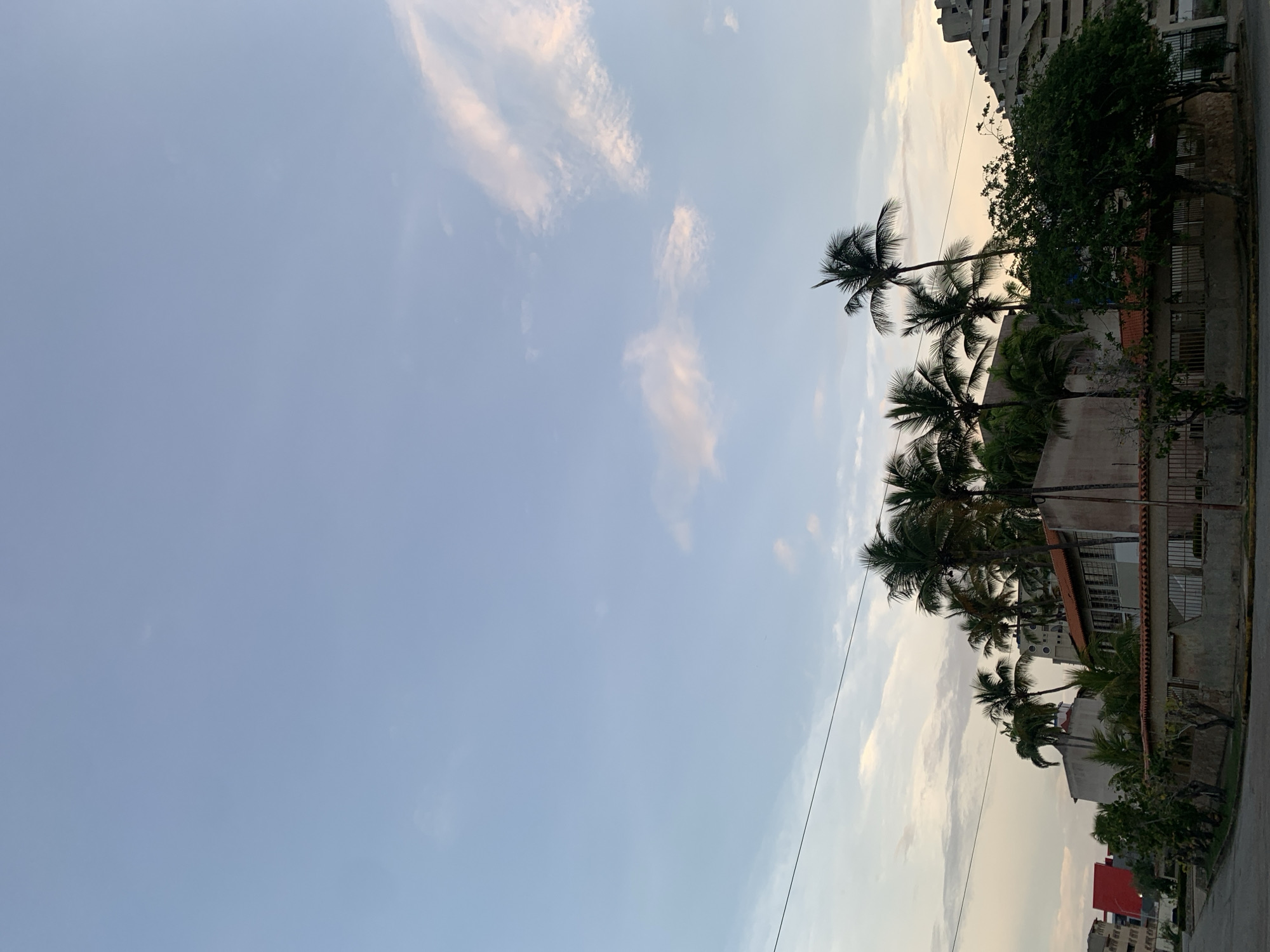 The image captures a street scene in Porlamar, Venezuela, during what appears to be dusk or dawn. The sky is a gradient of pale blue, transitioning to soft hues of pink and yellow near the horizon, with wispy clouds scattered across it. A power line runs horizontally across the upper portion of the frame.
In the foreground, a paved street curves to the left. Along the street, a low concrete wall with metal fencing encloses a property. Beyond the wall, several palm trees of varying heights are prominent, their fronds silhouetted against the sky. One particularly tall palm tree stands out in the center-right. A residential building with a red-tiled roof and windows is visible behind the palm trees and wall.
To the left, a building with a bright red facade is partially visible. Further back, larger, multi-story buildings are present, including a distinctive, stepped concrete structure on the right side of the image, characteristic of some coastal architecture in the region. Lush green foliage from trees also contributes to the dense vegetation. No people are visible in the scene. The overall impression is one of a tropical urban environment at the softer light of day.