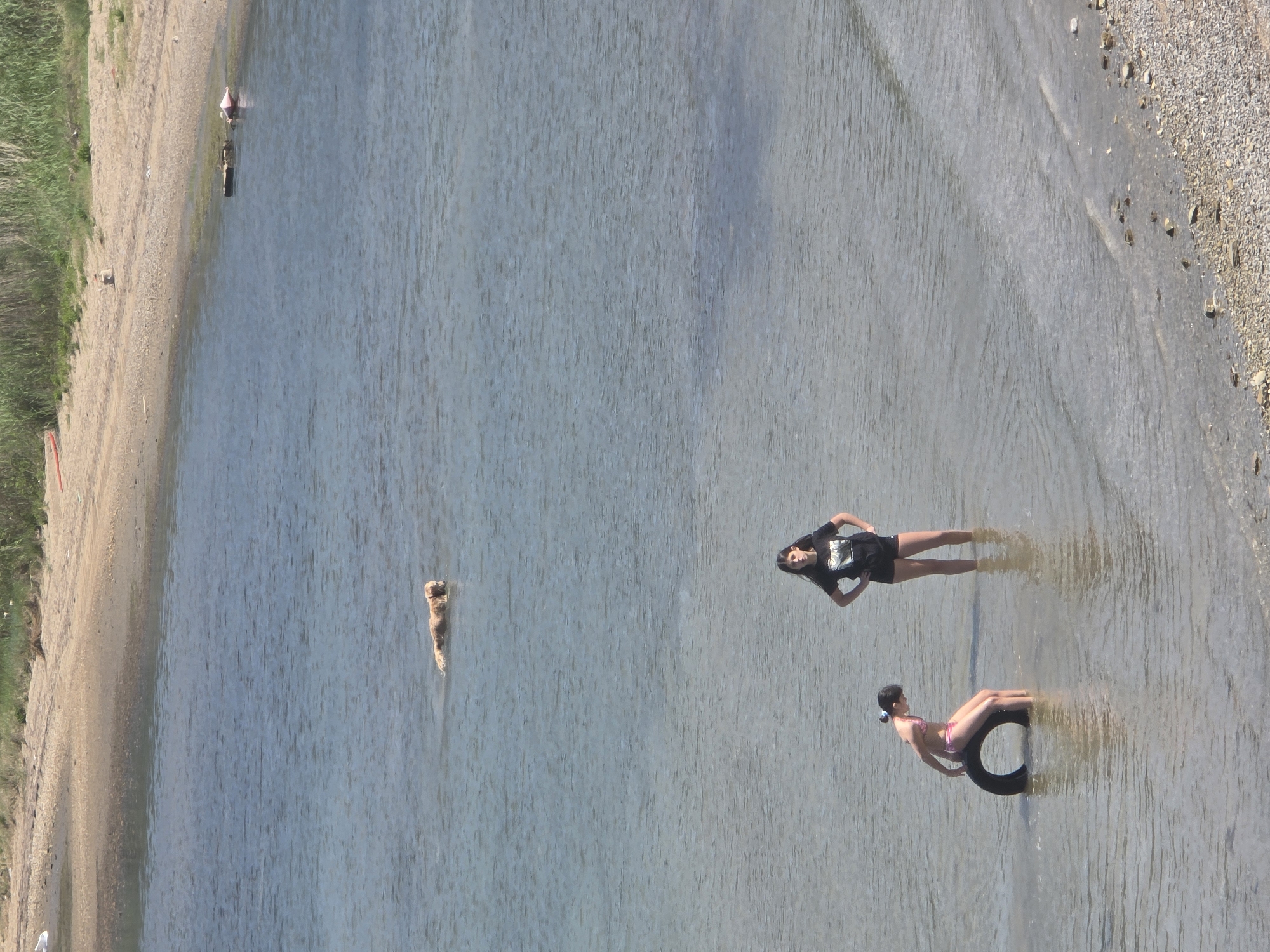 An aerial view depicts a waterfront scene in Đuraševići, Montenegro. A dog swims in the water near the shoreline. Two women are in the water: one stands with her hands on her hips, wearing a dark t-shirt and shorts; the other woman sits in an inner tube. The water appears shallow where the women are standing. The beach is sandy and rocky, with grass and vegetation along the edge.