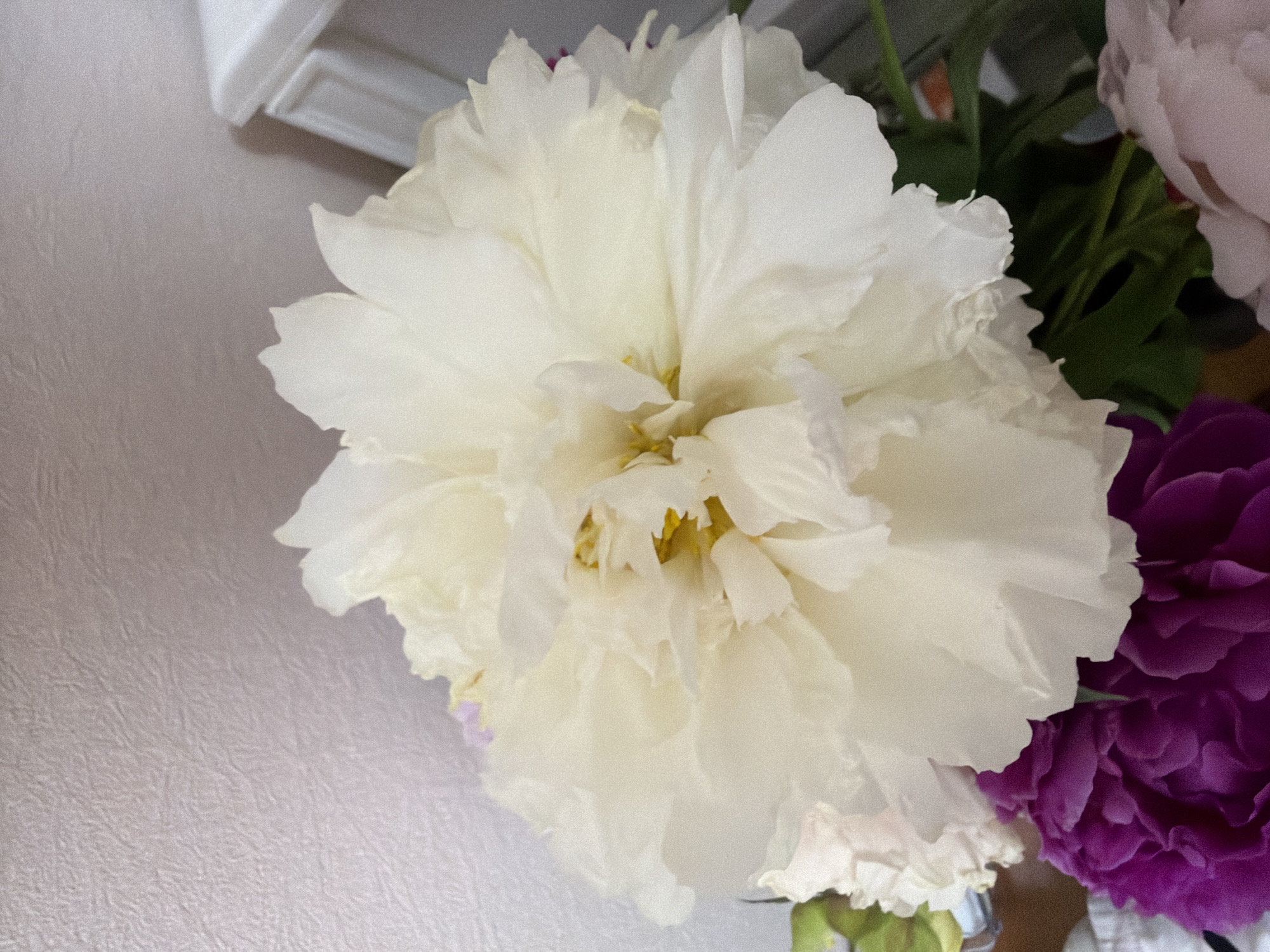 A close-up, low-angle shot captures a bouquet of flowers against a textured, pale wall. The primary focus is a large, white peony with many ruffled petals. To the lower left, a portion of a deep purple flower is visible, and to the lower right, a lighter pink flower is partially in frame. Green foliage peeks out from behind the flowers. A white ledge or shelf is visible in the upper right corner. The lighting is soft and diffused.