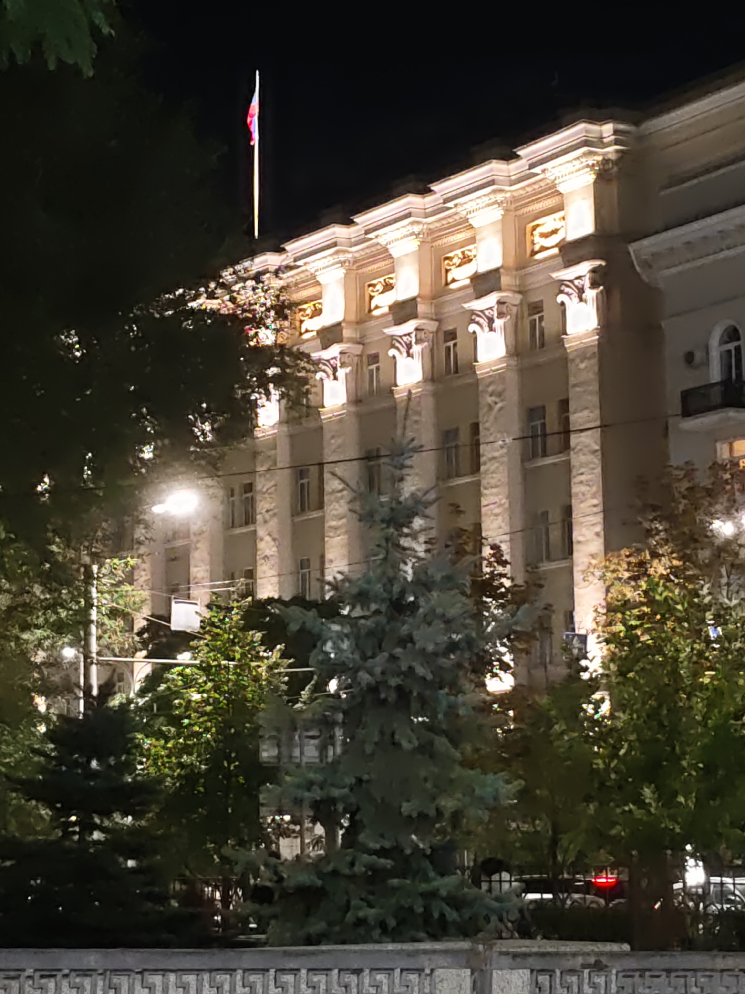The image shows a night view of a grand building in Rostov-on-Don, Russia, likely a government or administrative building given the flag on its rooftop. The building features a classical architectural style with large columns and ornate detailing, illuminated by warm lights. In the foreground, several trees, including a prominent fir tree, partially obscure the view. A streetlamp is also visible, casting a bright light. The overall scene is a nighttime urban landscape with a focus on the illuminated architecture.