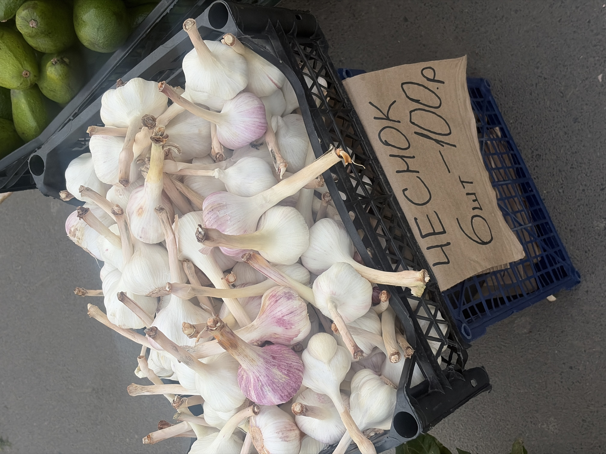 The image depicts a black plastic crate overflowing with garlic bulbs, some with a distinctive pinkish-purple hue, alongside a smaller crate containing green avocados. A roughly written sign in Russian, "ЧЕСНОК - 100р 6шт," is propped against the garlic. This translates to "GARLIC - 100 rubles 6 pieces," indicating the price. The scene appears to be a market stall or vendor setup, potentially in Saint Petersburg, Russia, given the Russian language on the sign. The background is a grey paved surface.