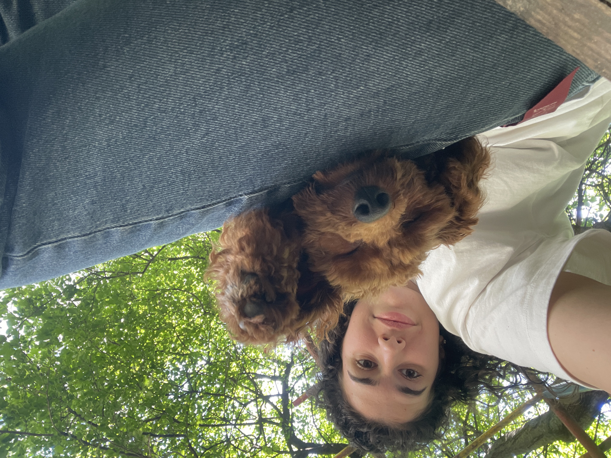 A low-angle selfie shot shows a person with dark curly hair, brown eyes, and fair skin, partially obscured by a tan, curly-haired dog. The person is wearing a white shirt. The dog's face, including its black nose, is visible. The background shows blue denim jeans, green tree leaves, and branches, suggesting an outdoor location under tree cover. The red tag hanging down from the jeans suggests that the pants have the name of the jeans brand on them. The location is a park in Sofia, Bulgaria, based on the image features and the request prompt.