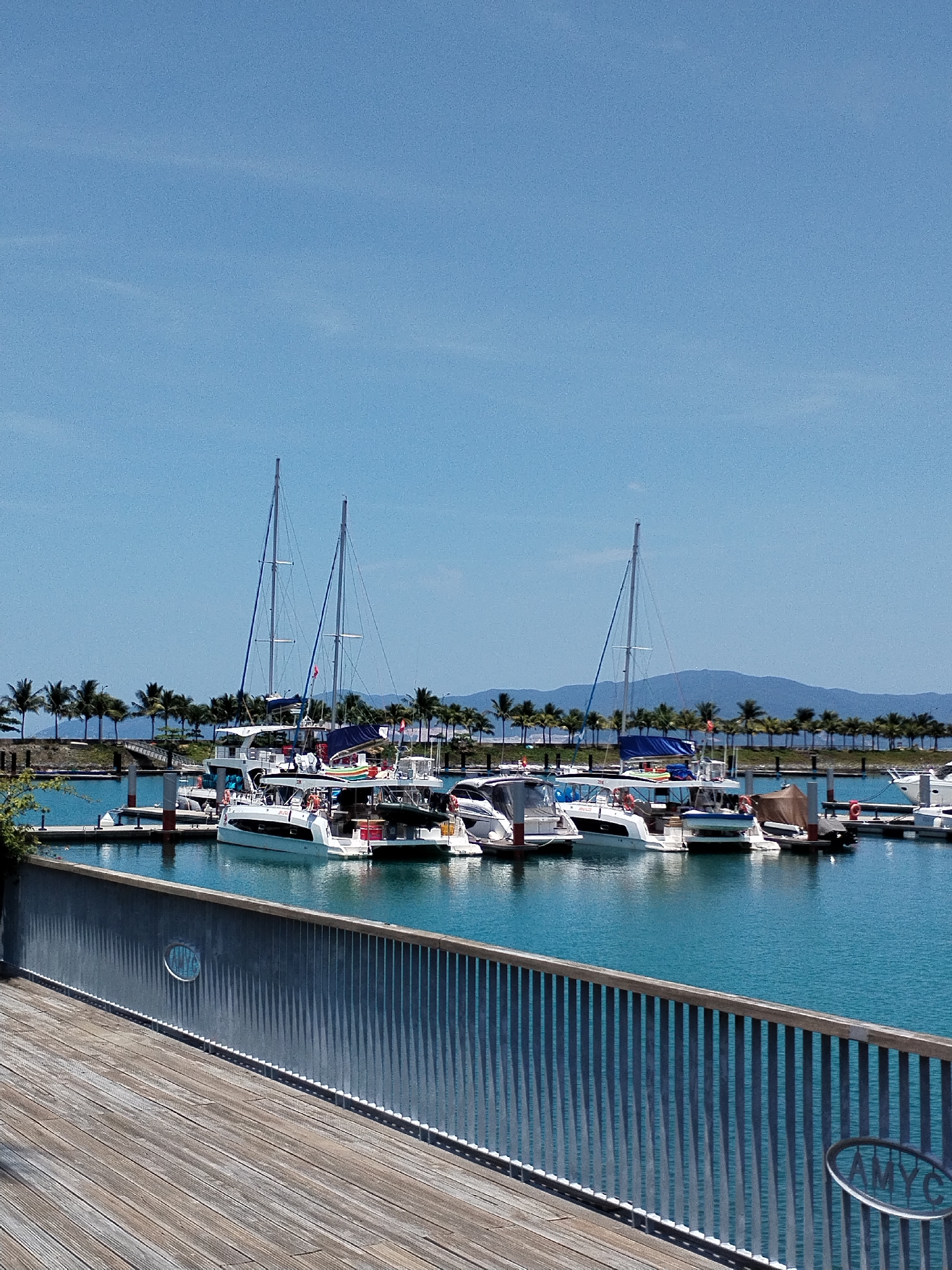 The image shows a marina in Bac Nha Trang Ward, Vietnam on a sunny day. Multiple sailboats and yachts are docked at a pier in the center of the frame. A row of palm trees lines the waterfront behind the boats. In the background, a low mountain range is visible against the clear blue sky. In the foreground is a wooden boardwalk with a metal railing. The railing has circular cutouts, revealing the water. The water appears calm and turquoise in color.