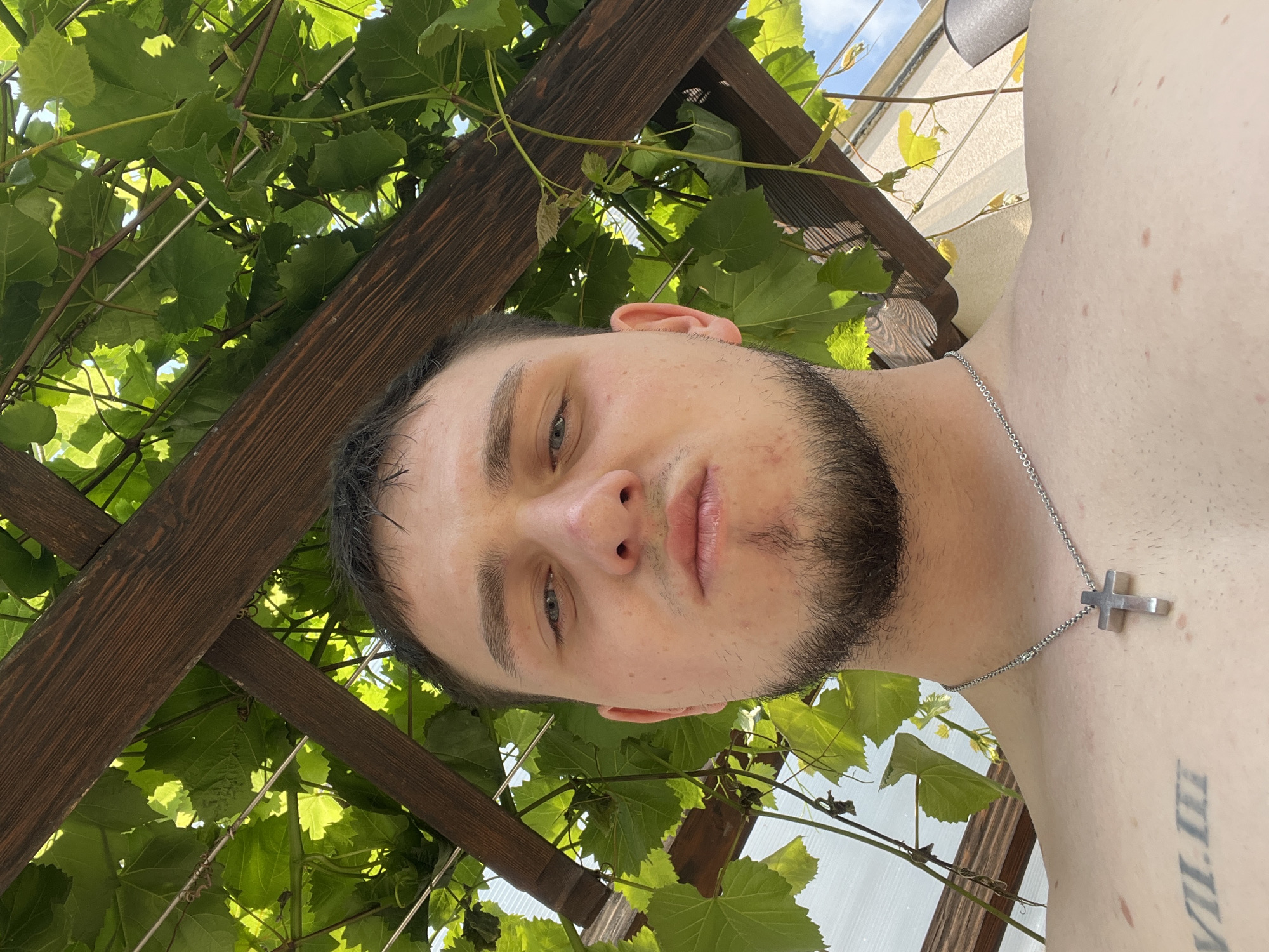 This media file presents a close-up, low-angle portrait of a young man, shirtless, captured from beneath a leafy vine canopy supported by a wooden trellis. His head is tilted, and he looks directly at the viewer with a neutral expression. He has dark hair and a short beard or stubble. A silver chain with a prominent cross pendant rests on his chest. Visible on his left upper arm is a tattoo displaying partially obscured Roman numerals, appearing to be "VIII".
The vibrant green leaves, likely grapevines, are illuminated by bright sunlight, suggesting a clear and sunny daytime setting. Patches of blue sky are visible through the dense foliage, along with hints of a building in the distance. The rustic wooden beams of the trellis frame the natural canopy. The man's skin shows a few freckles and minor blemishes. The scene is located in Войводино, Bulgaria.