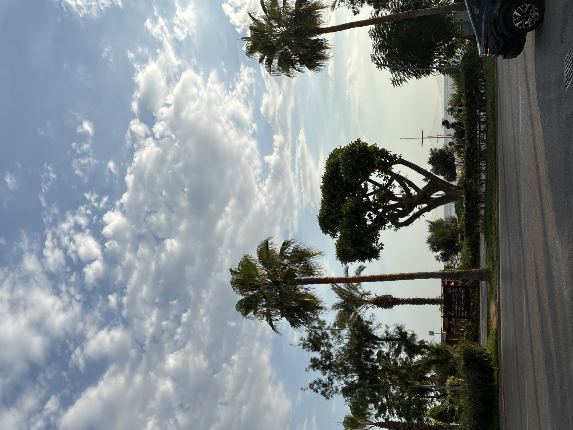 The image depicts a street scene in Alanya, Turkey, with a focus on a row of palm trees and other greenery lining the roadside. The sky is filled with scattered white clouds against a bright blue backdrop. In the foreground, a section of a dark-colored car is visible on the right side of the frame, parked on the asphalt road.
Behind the road, a well-maintained hedge forms a barrier, separating the road from a landscaped area. This area features several palm trees of varying heights and types, some with tall, slender trunks and others with a more bushy appearance. A distinctive, wide-branched deciduous tree stands out amongst the palms. Behind the trees and hedges, a low-rise building with a dark roof is visible, likely a cafe or shop, with signs displayed. Further in the background, the faint outline of the sea is discernible, with a mast and netting suggesting a harbor or beach activity. Several figures are walking along the pathway behind the hedge, engaged in casual movement, their interactions not clearly defined due to distance. The overall impression is a sunny day with a pleasant urban park-like setting adjacent to a street.