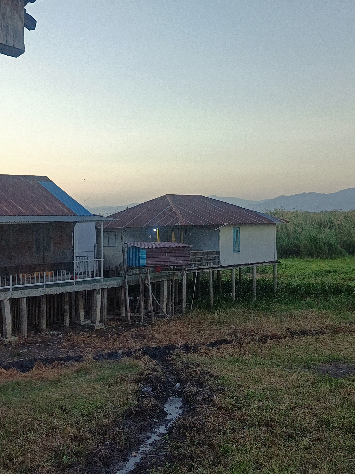 This image shows a stilted house situated on the edge of a grassy field with a body of water. The house features a rusted, corrugated metal roof with a blue section on one of the buildings. Wooden stilts support the structure, which appears to be in a rural or semi-rural setting. Tall grasses and vegetation are visible in the background, with mountains in the distance. The sky is clear and light, suggesting either early morning or late afternoon. The foreground consists of dry grass and muddy ground with a small stream or ditch. There are no people visible in the image. The scene appears to be in a location prone to water, possibly a swampy area or near a lake.