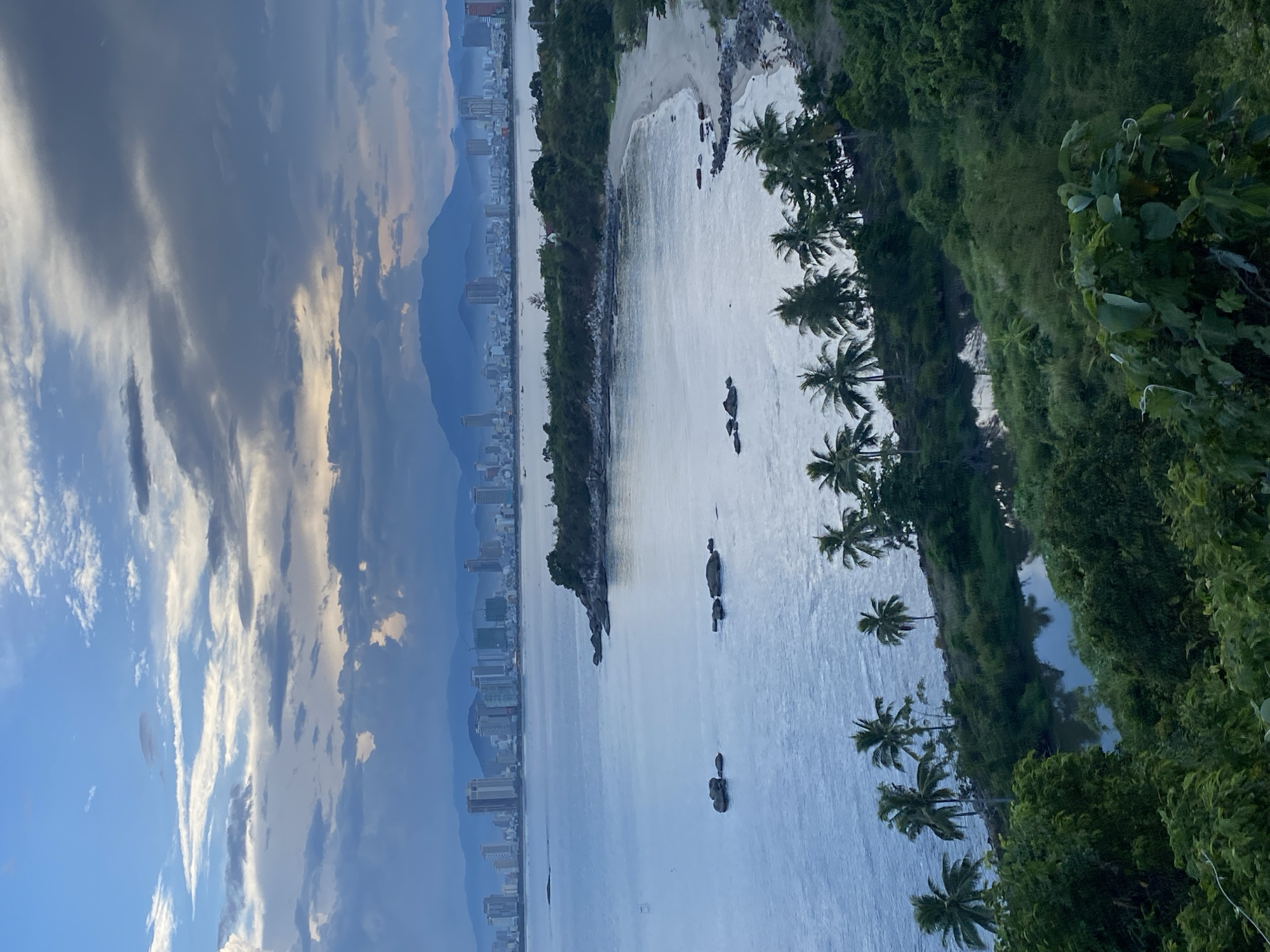 This is a wide shot of a coastal city in Da Nang, Vietnam, taken from a high vantage point. The scene captures a bay with a city skyline in the distance, bordered by lush green hills and palm trees in the foreground. The sky is partly cloudy with dramatic cloud formations, suggesting either dawn or dusk.
In the mid-ground, the tranquil blue water of the bay is visible, with a small sandy beach and rocky outcroppings dotting the coastline. A strip of land extends into the bay, covered with dense vegetation and palm trees. Beyond this, a sprawling city skyline rises, characterized by numerous modern high-rise buildings of varying heights and architectural styles, indicative of a developed urban center. The distant mountains provide a hazy, blue backdrop to the cityscape.
The foreground is dominated by dense green foliage, including the fronds of several palm trees in the lower right and center of the image. A small, calm body of water, possibly a tidal pool or a small inlet, is nestled within the greenery. The overall impression is one of a serene natural landscape juxtaposed with a vibrant urban environment, under a dramatic sky. There are no people or discernible actions depicted in the image. The lighting suggests a soft, diffused natural light.