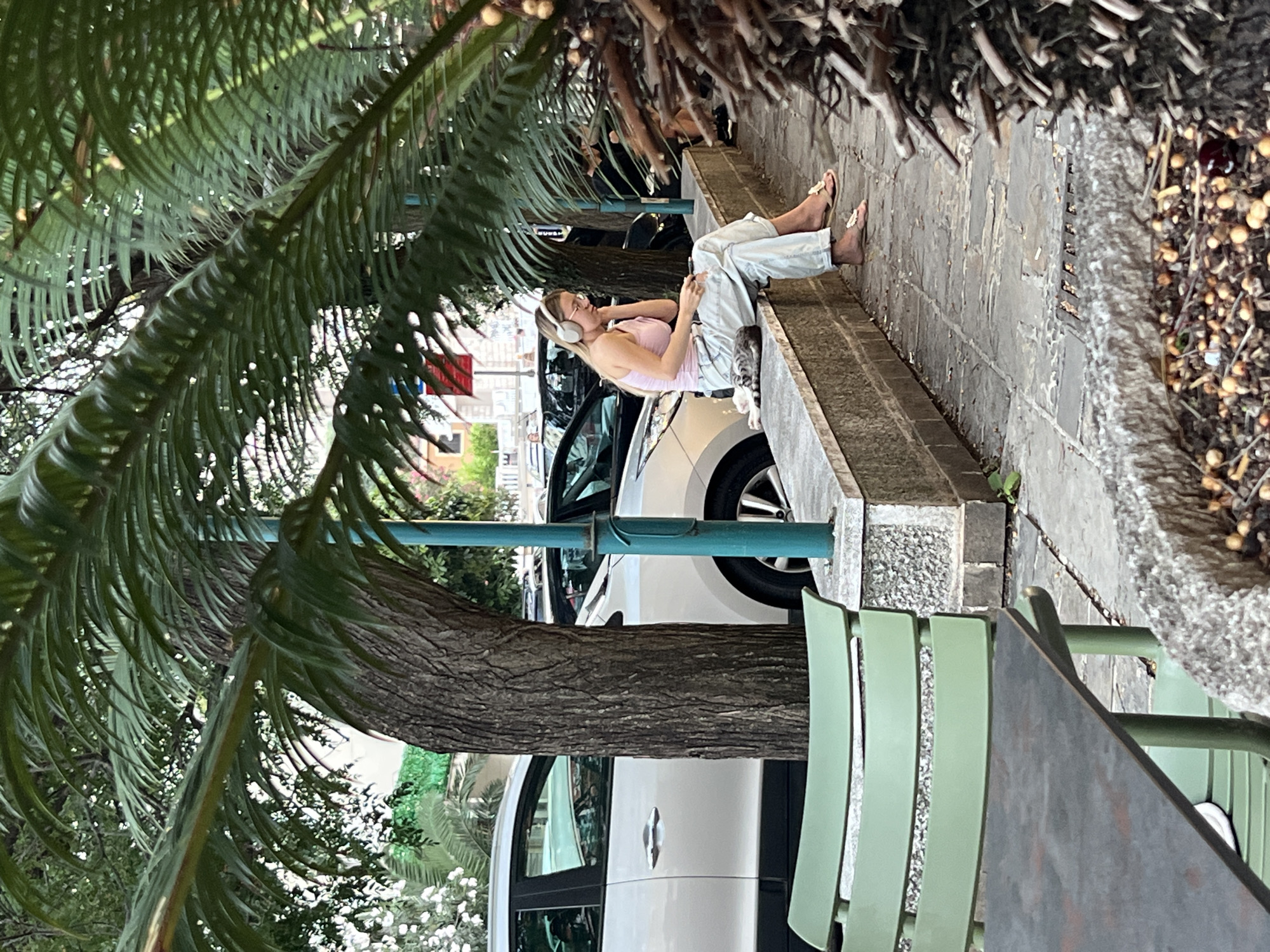 In Budva, Montenegro, a young woman with blonde hair, wearing a pink tank top and light-colored, baggy pants, is sitting on a low, grey stone wall outdoors. She has on white headphones and is looking down at her phone, which she holds in her right hand. Her left hand is resting on her leg. She is barefoot, wearing simple flip-flops with a flower embellishment on each. Next to her on the wall is a small, grey tabby cat, curled up and sleeping. The woman is seated near a thick tree trunk with rough bark, and behind her are parked cars, including a white SUV. Palm fronds and foliage are visible in the foreground and surrounding the scene, suggesting a warm, possibly Mediterranean climate. The ground in front of the wall is paved with flagstones, and a stone planter filled with small, round objects and debris is in the lower right corner. Two green chairs and a dark table are in the lower left of the image, indicating an outdoor seating area.