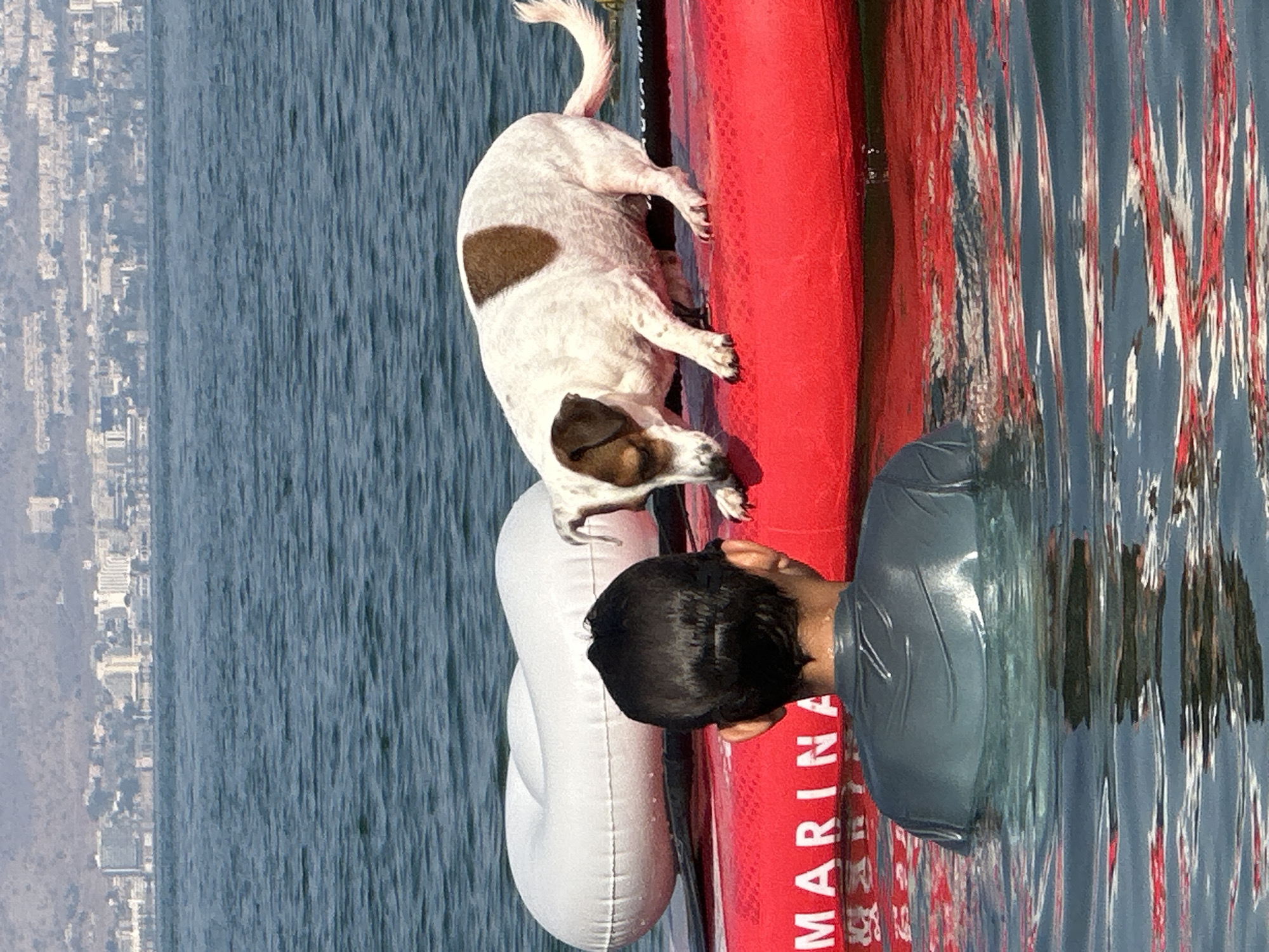 A young boy wearing a grey t-shirt is in the water with a dog on a red paddleboard. The dog, a Jack Russell Terrier, is white with brown markings and is looking down at the water. A white inflatable ring is also on the paddleboard. In the background, the city of Tiberias, Israel, is visible on the shore, with buildings and hills. The water is blue and calm, with ripples. The image appears to be taken on a sunny day.