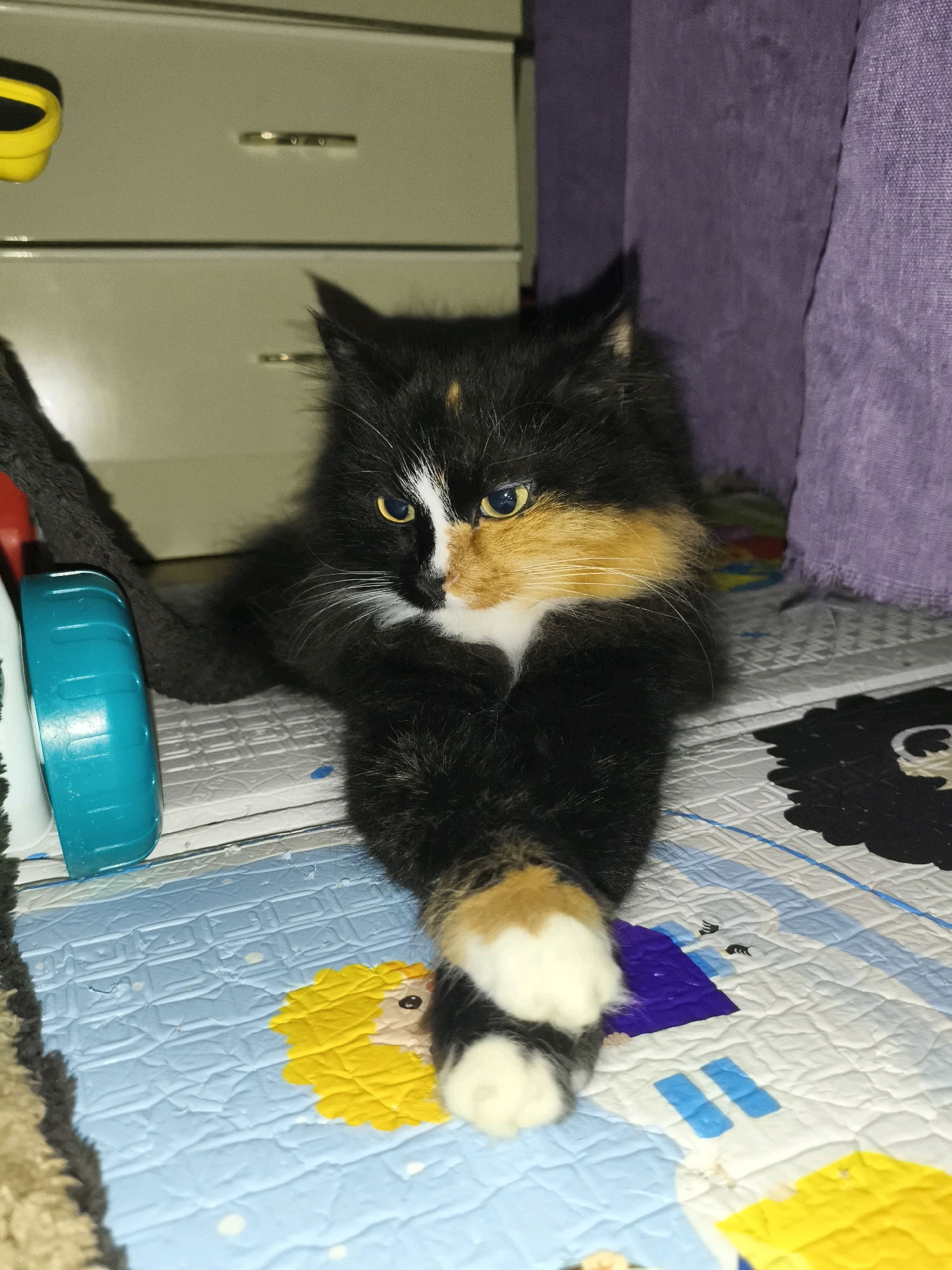 A calico kitten with black, orange, and white fur is lying on a patterned mat. The kitten is positioned in the center of the frame, with its front paws crossed. It has yellow eyes and white whiskers. To the left of the kitten, a portion of a teal plastic object is visible, and further to the left, a fuzzy brown object and a yellow plastic toy are partially in view. In the background, there is a light-colored cabinet with gold handles and a purple fabric draped over something. The mat the kitten is lying on features a light blue base with a textured pattern and various cartoonish illustrations in yellow, white, and blue. The scene appears to be indoors, possibly in a domestic setting.