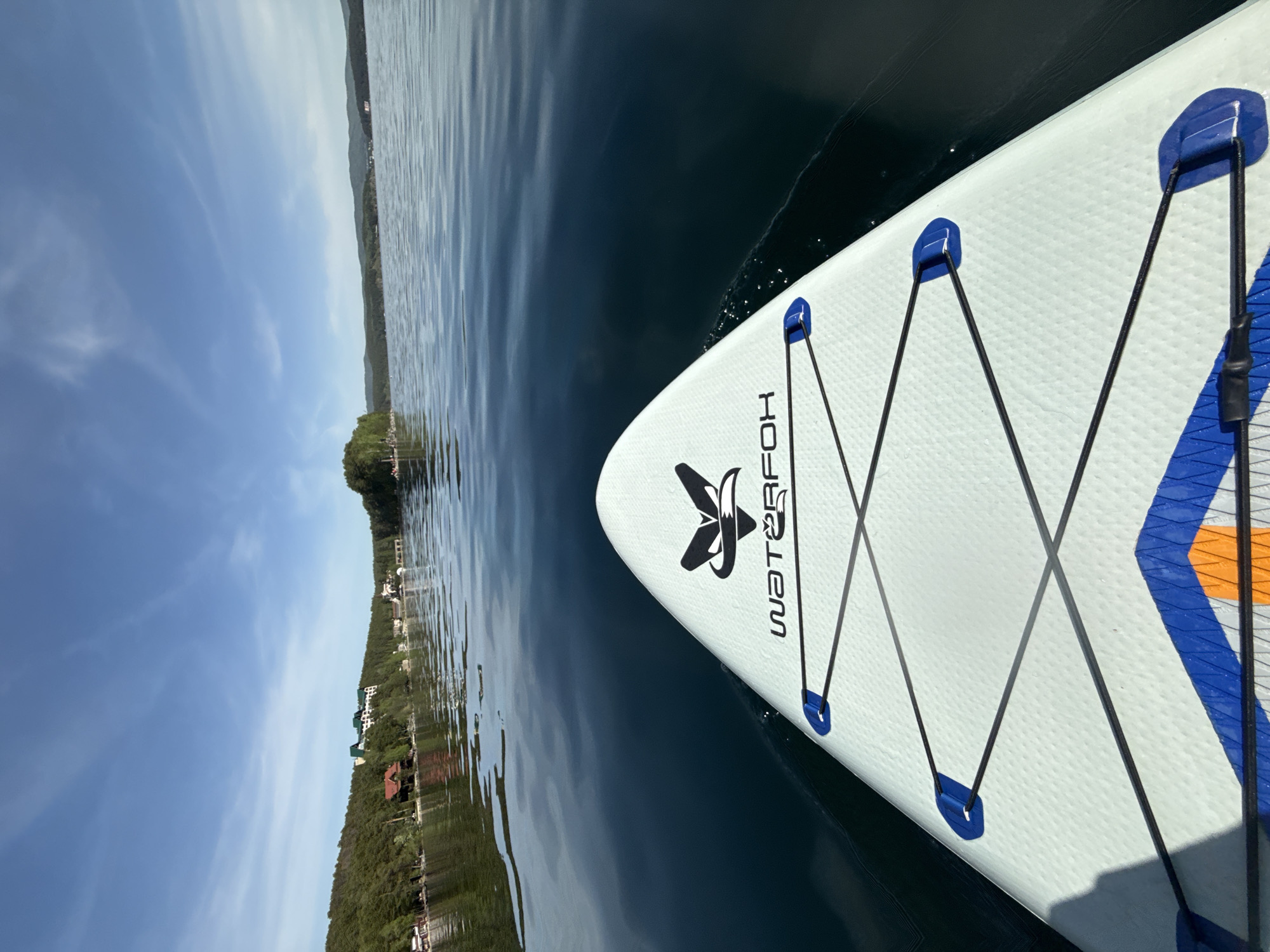 A close-up shot captures the front portion of a white paddleboard floating on a body of water. The paddleboard features a black bungee cord system crisscrossing its surface, attached to blue loops. The brand name "WATERFOH" is printed on the board with a stylized logo. Dark blue water surrounds the paddleboard. The background includes a distant tree-covered shoreline under a partly cloudy sky. The photograph appears to have been taken in Zolotoi Plyazh, Russia.