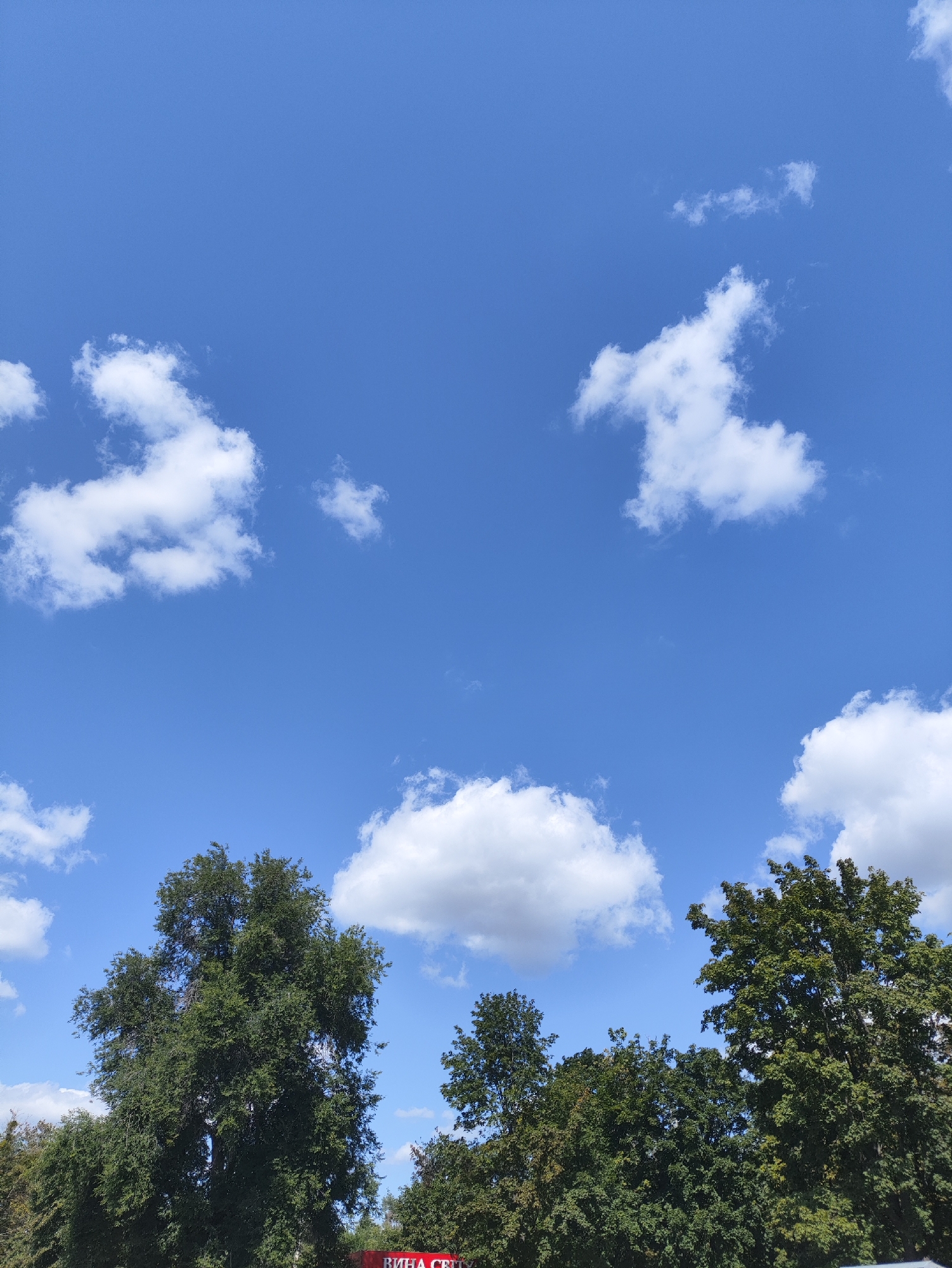 A wide-angle shot captures a bright blue sky filled with scattered white cumulus clouds. The lower third of the image is dominated by the lush green canopy of several large trees, with their branches reaching upwards. A portion of a red sign with Cyrillic text is visible at the very bottom of the frame, suggesting an urban or suburban setting. The overall scene is serene and natural, with no people or specific actions depicted. The presence of the sign and the trees suggests this could be a park, roadside, or the edge of a commercial area within the city of Kharkiv, Ukraine.