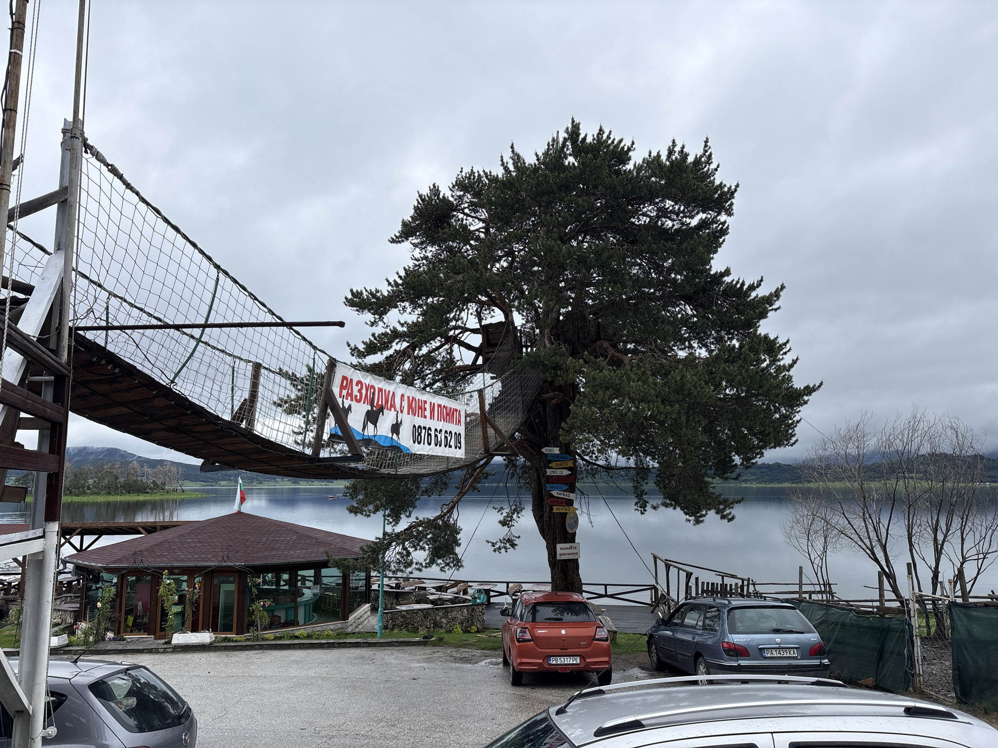 The image depicts a cloudy day in Цигов чарк, Bulgaria, near a lake. A unique feature of the scene is a tree with a treehouse and numerous direction signs attached to its trunk. A netted suspension bridge extends towards the treehouse from a wooden structure. A sign advertising "horse and pony rides" in Bulgarian hangs near the tree. Several cars are parked in the foreground. A building with a brown roof and glass walls is visible next to the lake, with a Bulgarian flag displayed nearby. The surrounding landscape includes a calm lake and distant mountains shrouded in mist.