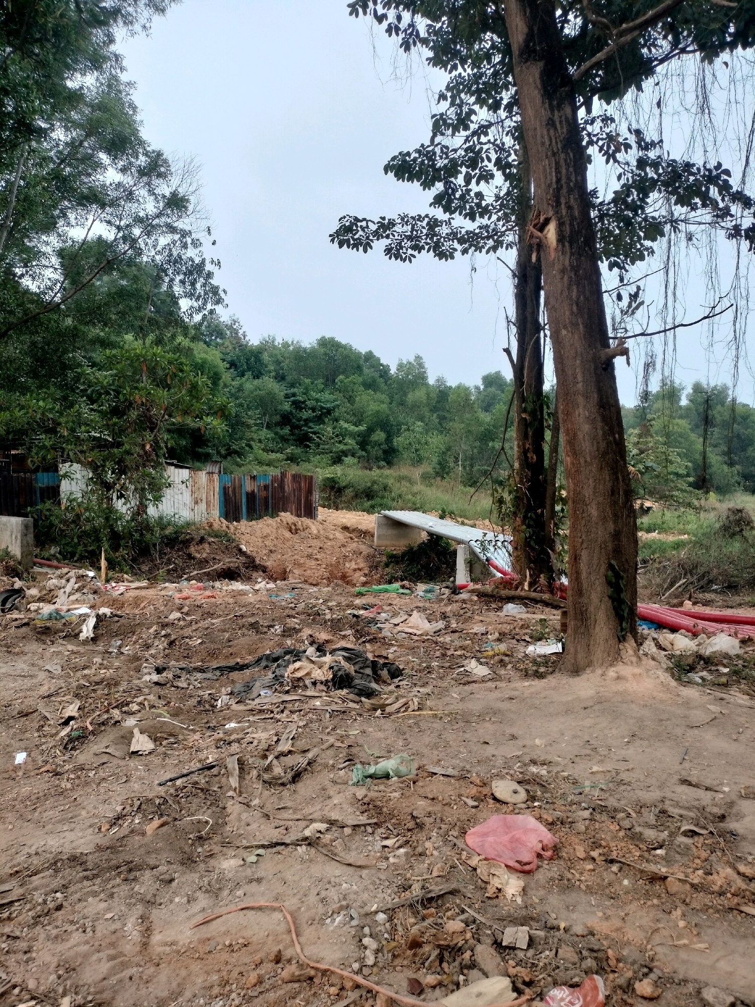 The image depicts a scene of environmental disregard in a semi-urban or rural area, possibly on the outskirts of Batam, Indonesia. A large amount of assorted garbage, including plastic bags, sheeting, construction debris, and other refuse, is strewn across the foreground and middle ground. In the background, a construction site is visible, characterized by a metal fence, piles of dirt, and what appears to be a temporary structure or bridge. Several mature trees, one with visible parasitic vines, stand prominently within the scene, contrasting with the littered environment. The sky is overcast, suggesting a dull or potentially rainy day. No people are present in the image. The overall impression is one of neglect and pollution, with a construction project underway in an area that has been subject to significant waste accumulation.