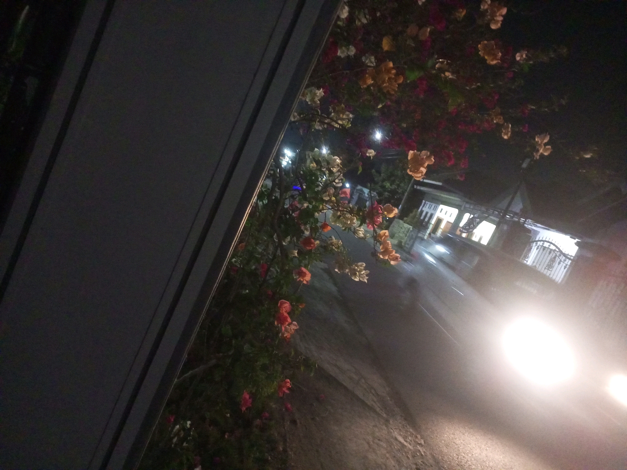 This image depicts a nighttime street scene in Ngasem, Indonesia, with a focus on blooming bougainvillea flowers in the foreground. A dark, angled structure, possibly a building facade or wall, dominates the left side of the frame, creating a stark contrast with the illuminated street and vegetation on the right. The street itself is wet and reflective, indicating recent rain or damp conditions, and is lit by the bright headlights of an unseen vehicle. Further down the street, residential buildings with illuminated windows and a decorative metal fence are visible. The bougainvillea flowers are a vibrant mix of pink, orange, and white, their colors intensified by the low light conditions and the artificial lighting. The overall impression is one of a tranquil, yet lively, nocturnal streetscape.