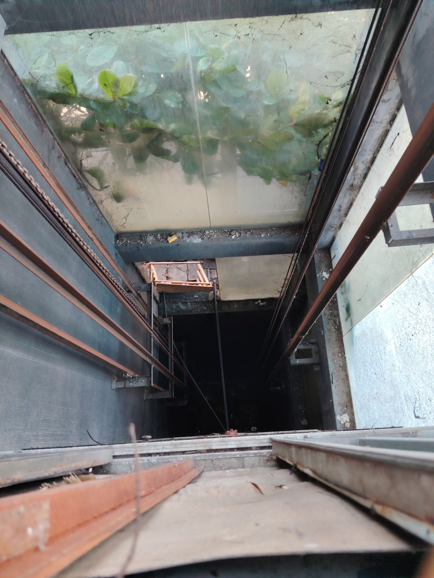 The image shows a view looking down into an elevator shaft. The shaft has metal guide rails and chains on the left side. At the top of the shaft, there is a glass ceiling with leaves and debris on it. The bottom of the shaft is dark and appears to be the pit. The overall environment looks neglected and possibly abandoned. The scene is located in an unknown area within an unknown city.