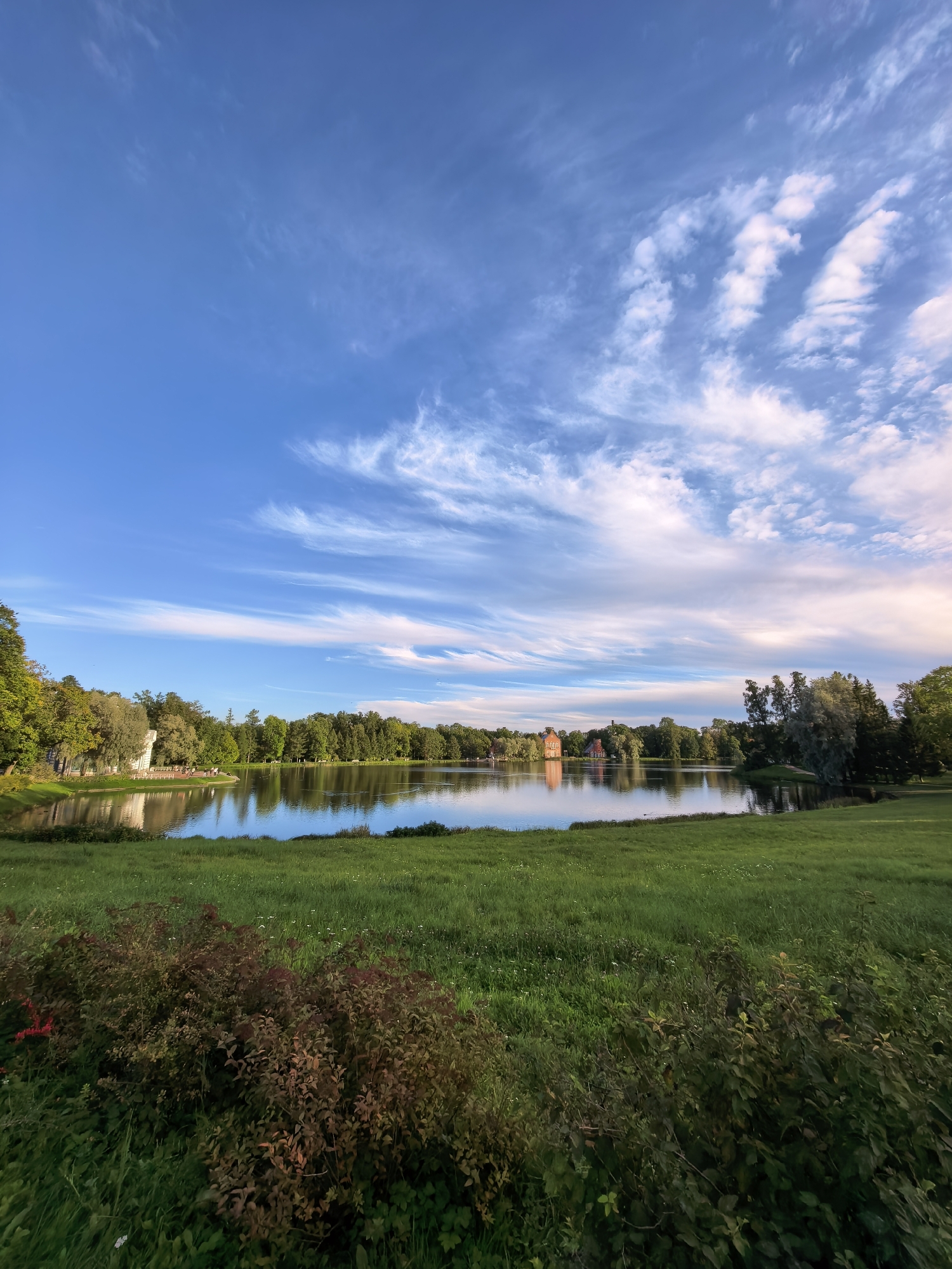 This is a landscape photograph taken at Catherine Park in Pushkin, Russia. The scene features a calm body of water reflecting the blue sky, which is adorned with wispy white clouds. The water is surrounded by lush green grass and a dense line of trees. On the left side of the water, a white classical-style structure with arches is visible, and on the right, a red brick building with a tower stands amongst the trees. The foreground is dominated by a grassy area with some bushes and small wildflowers.