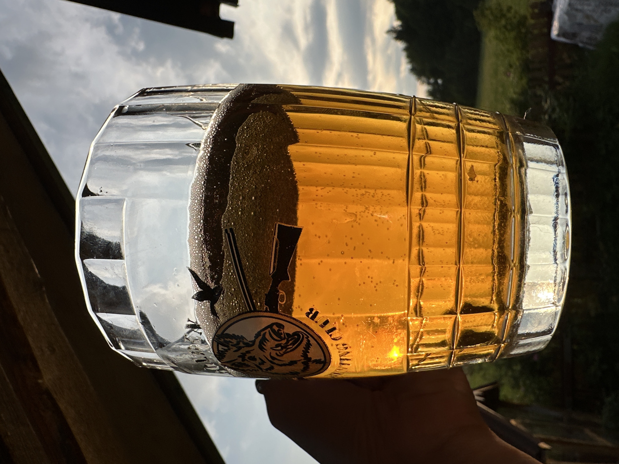 A close-up, low-angle shot shows a hand holding a large, clear glass mug filled with amber-colored beer. The mug has a textured pattern around the lower half and features a circular emblem with a boar's head and a hunting rifle, along with the words "HUNTING CLUB". The beer has a frothy head with small bubbles. The background is outdoors, with a slightly overcast sky and a blurred view of green trees and vegetation. The setting is likely a rural or outdoor area, possibly a beer garden or patio, consistent with a location in or near Norviliškės, Lithuania, a place known for its historic manor and associated tourist facilities. The lighting suggests it is either early morning or late afternoon, with the sun casting a warm glow on the beer. There are no people clearly visible other than the hand holding the mug.