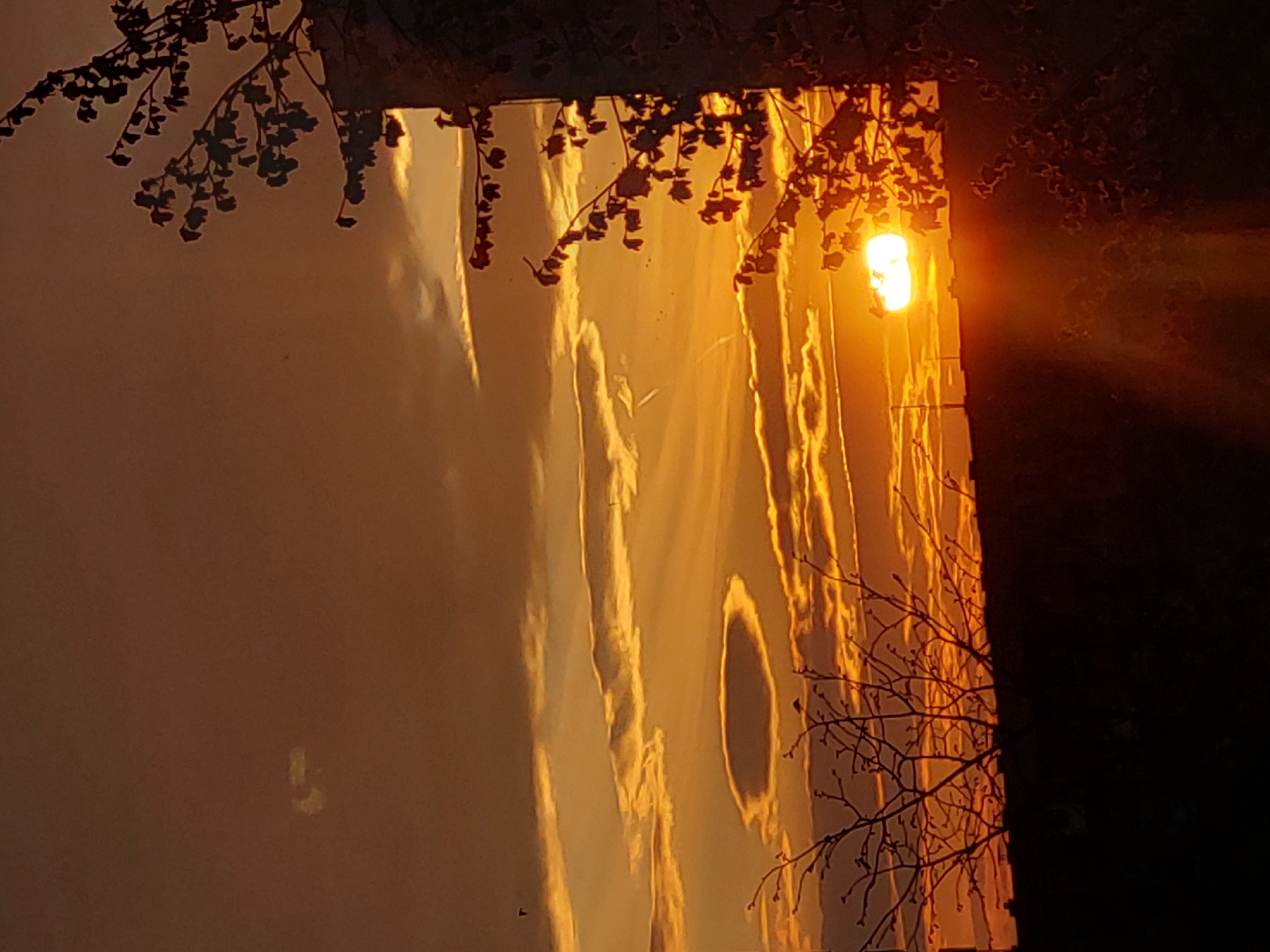 The image, correctly oriented, displays an outdoor scene captured during either sunrise or sunset, characterized by warm, intense golden light. The primary subject is a large, reflective surface, likely a building or wall, which reflects the bright sky and a prominent light source, the sun. The sun appears as a brilliant, glowing orb on the upper right side of the reflective surface.
In the foreground, dark silhouettes of tree branches frame the scene. Leafy branches are visible across the top, while a network of bare, intricate branches is silhouetted along the lower right edge, extending into the frame. The reflective surface exhibits vertical streaks of light and shadow, suggesting either clouds in the sky or irregularities in the surface itself. A distinct, dark, oval-shaped area is also visible within the reflection. The left side of the image features a darker, somewhat hazy area with minimal detail. The overall impression is one of dramatic and serene natural beauty during the golden hour. There are no people or visible text in the image.