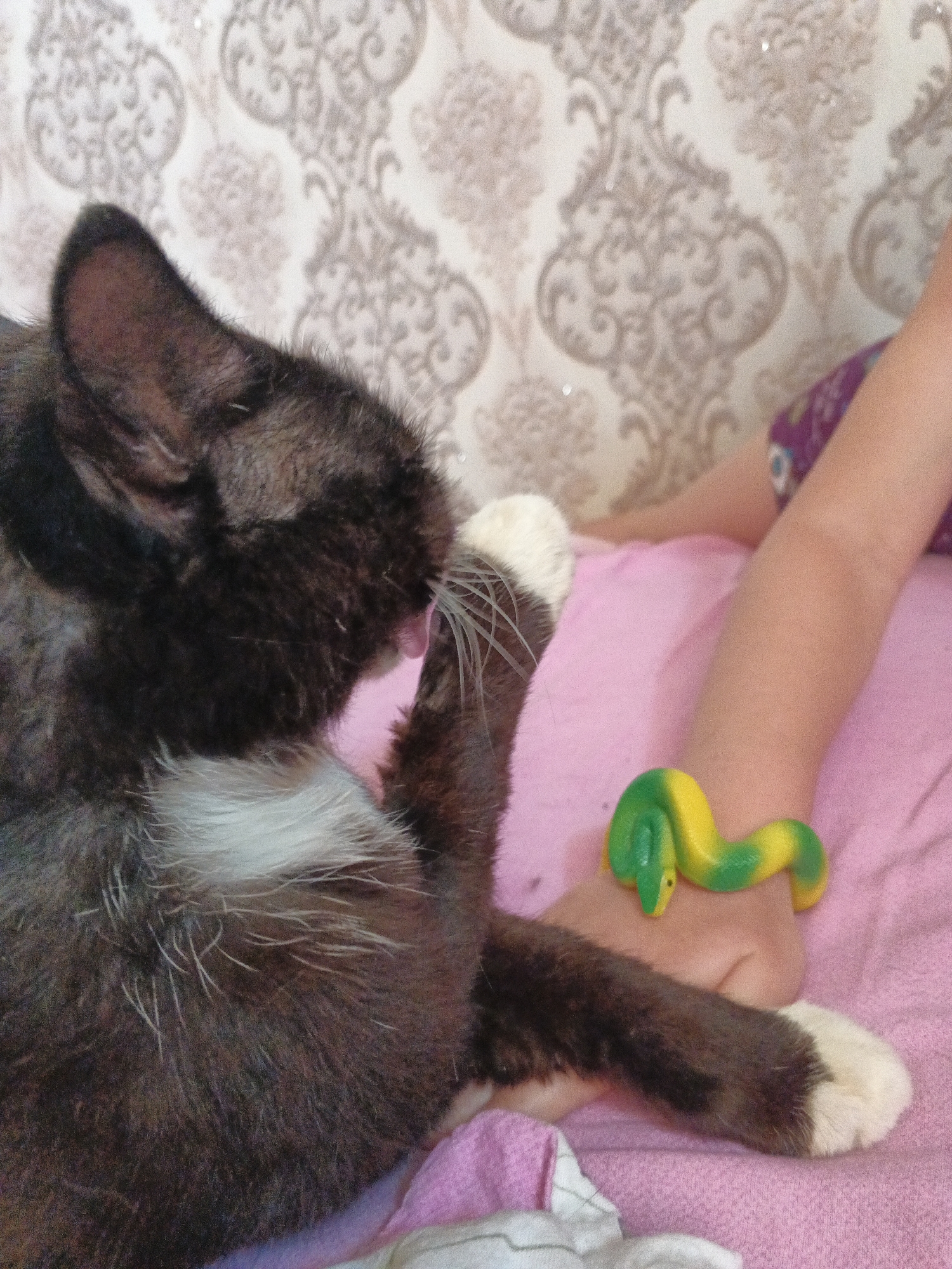 This is a close-up, high-angle photograph of a black and white cat grooming its paw. The cat is lying on a pink surface, possibly a blanket or bedspread. Behind the cat and to the right, a child's arm is visible, wearing a green and yellow snake-shaped bracelet. The background features a wall with a patterned wallpaper in shades of cream and beige. The lighting is soft and even. There is no discernible information about the location within the city of Medvedyovka, Russia.