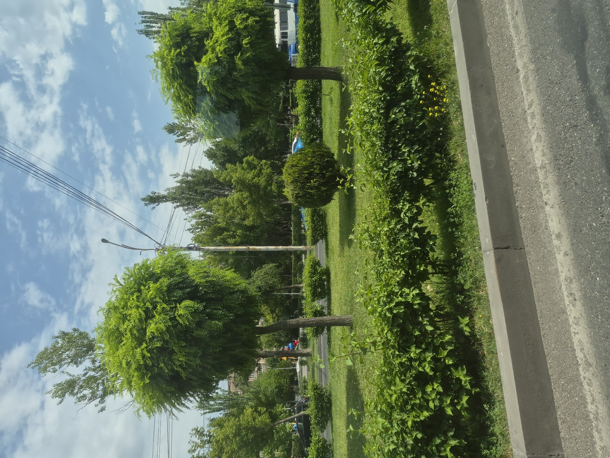 The image captures a street-side view of a park in Yerevan, Armenia. The foreground shows a grey concrete curb and asphalt road, indicating an urban setting. Beyond the curb is a neatly manicured green lawn, bordered by dense, low-lying green bushes.
In the mid-ground, the park features several trees. Two trees are particularly prominent: one on the left with a rounded, bushy canopy, and another on the right, also with a full, green crown. Between them, a perfectly spherical, dark green bush stands out. Further in the background, more trees are visible, interspersed with buildings and a playground structure. A white and blue bus is parked on the side of the road, with a blue vehicle nearby. A lamppost and power lines run across the scene, typical of a city environment. The sky is partly cloudy with a bright blue sky. The overall impression is a well-maintained urban park on a sunny day in Yerevan.