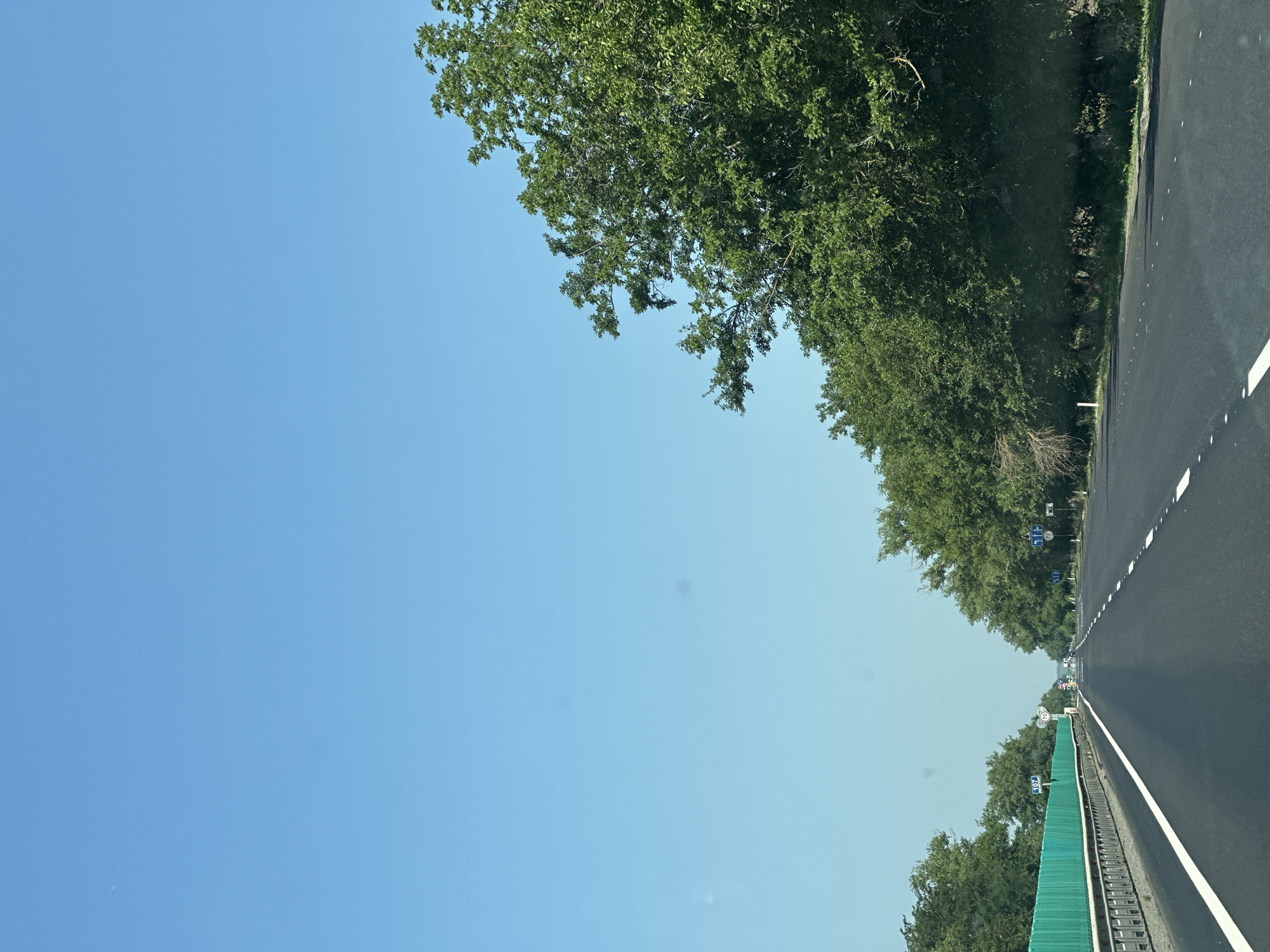 The image captures a view from a vehicle traveling on a highway in Telman, Russia, under a clear blue sky. The highway is paved with asphalt and marked with white dashed lines, indicating lanes for traffic. On the left side of the road, a bright green sound barrier is installed along the edge of the highway, followed by a row of trees. On the right side, a dense line of lush green trees borders the road, with some branches extending over the asphalt. Several road signs are visible, including a speed limit sign of 70, indicating the maximum allowed speed. In the distance, more trees and signs can be seen along the highway, suggesting it is a well-traveled route. The overall impression is one of a sunny day on a rural highway.