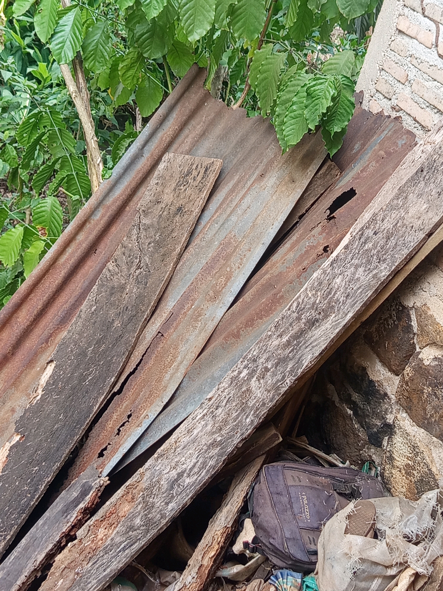 The image depicts a pile of old, rusty corrugated metal sheets and weathered wooden planks leaning against a stone wall. Green foliage from nearby plants cascades down from the upper left of the frame, partially obscuring some of the materials. In the lower right, a dark blue duffel bag rests amongst other debris, including white plastic sheeting and what appears to be a single sandal. The overall scene suggests an outdoor storage area or a collection of discarded materials in what could be a rural or semi-urban environment in Karang Sari, Indonesia. There are no people visible in the image, and no actions or interactions are depicted.