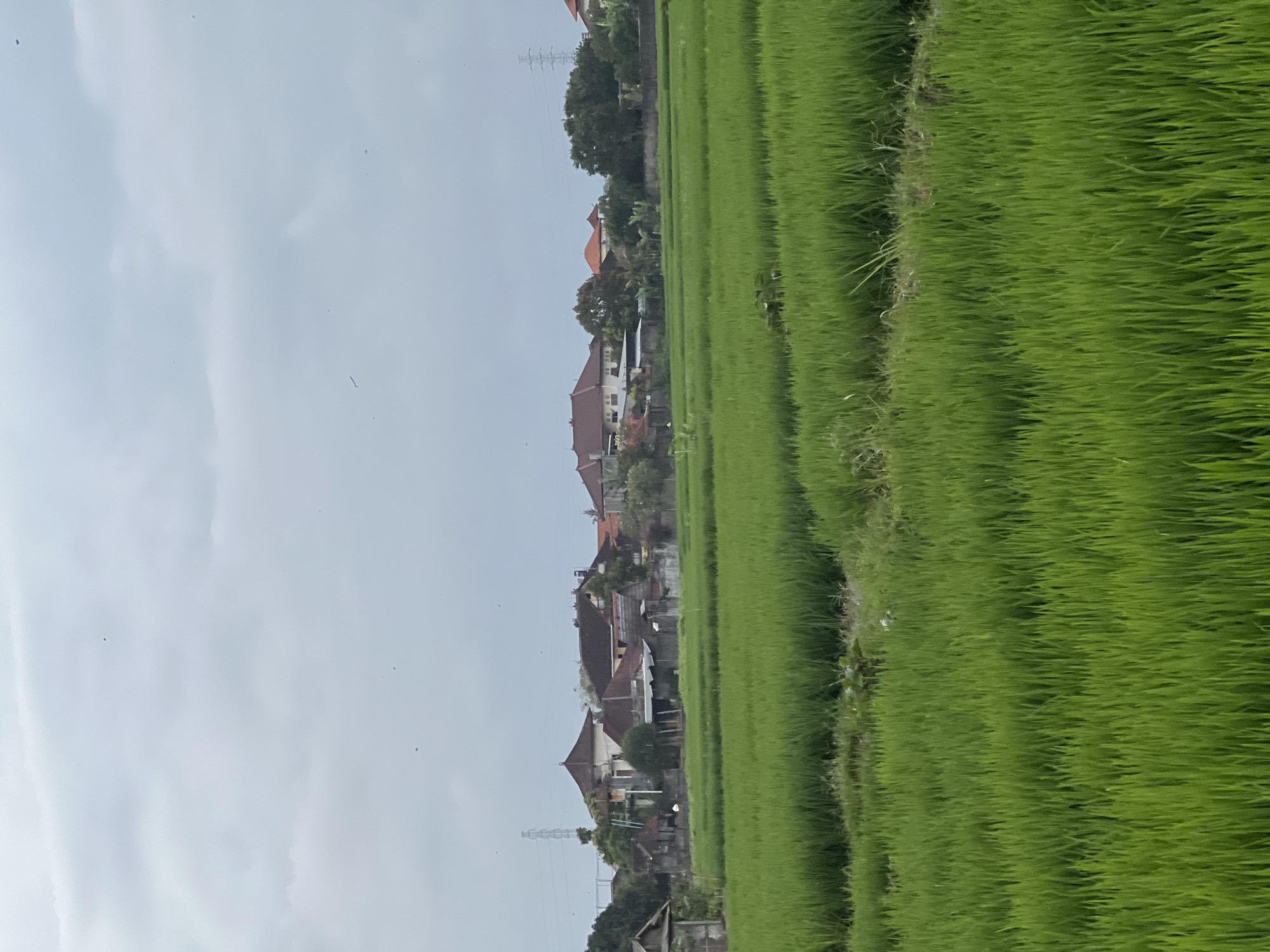 The image depicts a rural landscape in Mengwi, Indonesia, characterized by lush green rice paddies in the foreground. Behind the fields, a collection of buildings with terracotta roofs are visible, interspersed with trees. A power line pylon stands tall in the distance to the left, and another on the right. The sky is overcast with clouds. There are no people or animals clearly visible in the image. The scene conveys a sense of agricultural serenity.