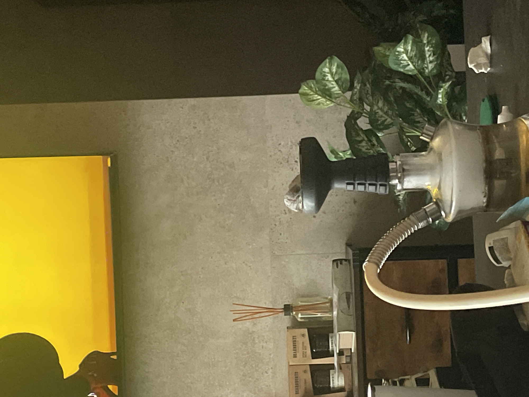 The image depicts an indoor scene, possibly a lounge or relaxation area, in Huixquilucan de Degollado, Mexico. In the foreground, a shisha pipe is prominently displayed, with smoke visible rising from its glass base. To the left, a light-colored hose extends from the pipe. Behind the shisha, a potted plant with large green and white variegated leaves adds a touch of nature to the setting.
On a shelf behind the shisha and plant, several items are arranged. A clear glass bottle with orange reeds, likely an air freshener or diffuser, stands in the center. To the left of the diffuser are two small cardboard boxes, each with text that appears to be product packaging. A closed book, its cover a muted green with some lighter markings, lies horizontally in front of the boxes. A wooden drawer unit is visible beneath the shelf.
In the upper portion of the image, a large rectangular area of bright yellow is visible, possibly a screen or artwork, with a dark silhouette in the lower left corner. The background wall appears to be textured, with a lighter speckled pattern on the left and a darker, smoother surface on the right. The overall impression is one of a relaxed, possibly commercial or domestic, space.