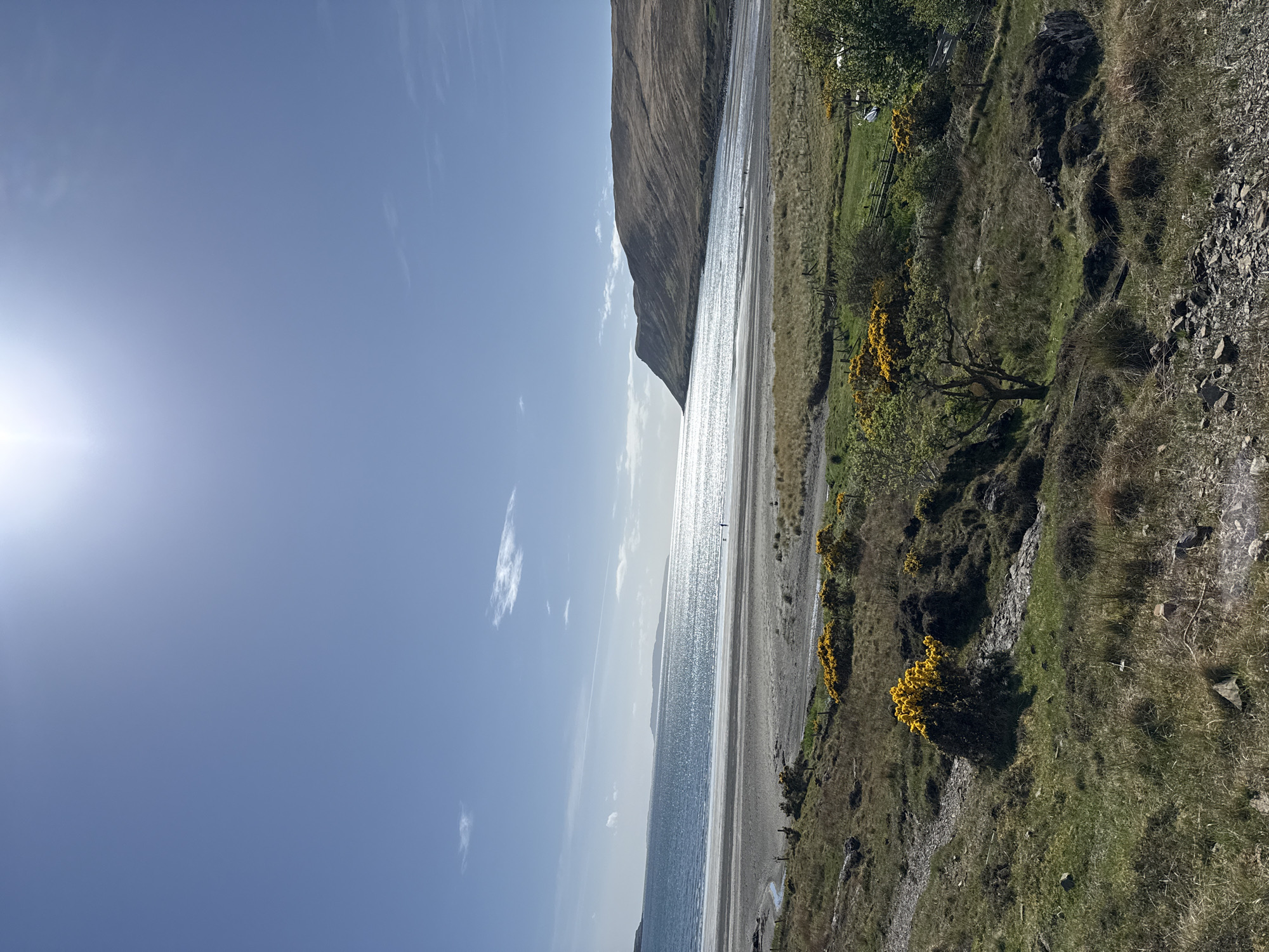 The image shows a coastal scene with a mountain on the left side and vegetation on the right. A body of water, likely the ocean, occupies the middle portion of the image. The sky is blue with scattered clouds and a bright sun in the upper left corner. The vegetation on the right appears to be grass and bushes, with some yellow flowering plants. The image is oriented vertically.
Location: Unknown, Unknown.