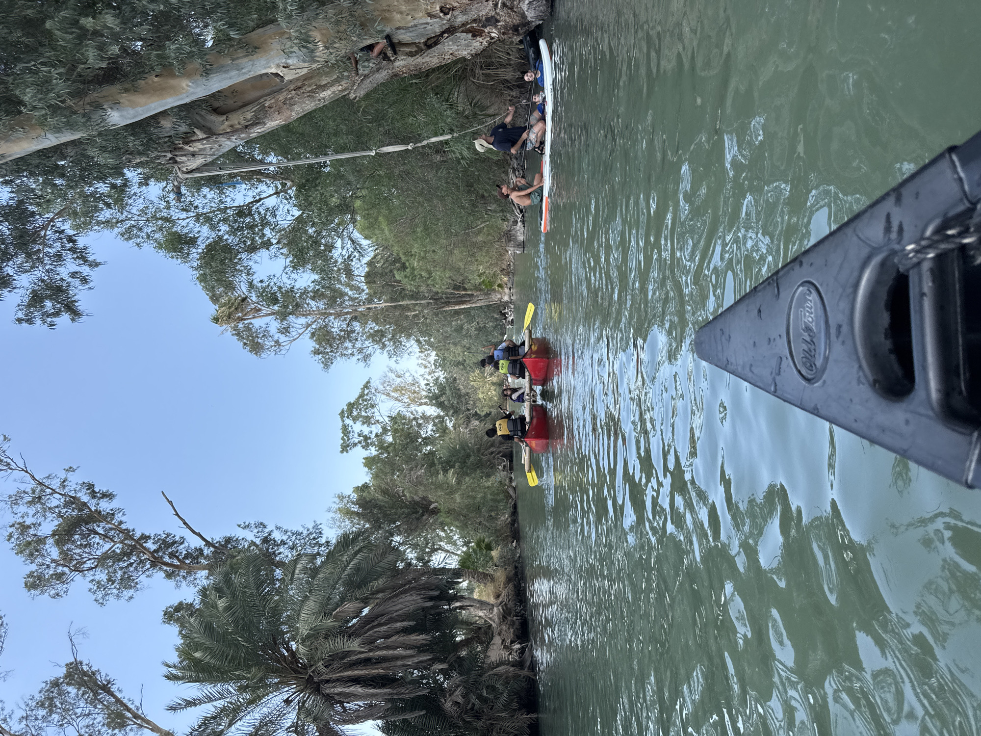 The image depicts a serene river scene with several people engaged in water activities. In the foreground, the bow of a black canoe, labeled "Old Town," is visible, indicating the photographer is in a canoe.

Several red canoes are present further up the river, each carrying two to three individuals. The occupants are wearing life vests, suggesting safety precautions are in place. Two canoes are closest, with people paddling. One canoe has two people, one in front and one behind, both wearing yellow life vests. The other canoe, slightly further, also has two people in yellow life vests.

In the mid-ground, to the right of the canoes, three people are on paddleboards. One person is sitting on a paddleboard with a hat, looking upwards. Another person is on a paddleboard behind them, and a third person appears to be in the water next to a paddleboard. A rope hangs from a large tree on the right bank, suggesting a possible swing.

The river is calm and has a greenish hue. The banks are lined with lush vegetation, including palm trees and deciduous trees, with clear blue skies above. The environment suggests a natural setting within a regional council. Based on the presence of palm trees and dense riverine vegetation typical of the Jordan River valley, this location is likely within the Emek HaYarden Regional Council, Israel. The overall impression is of a recreational outing in a natural environment.