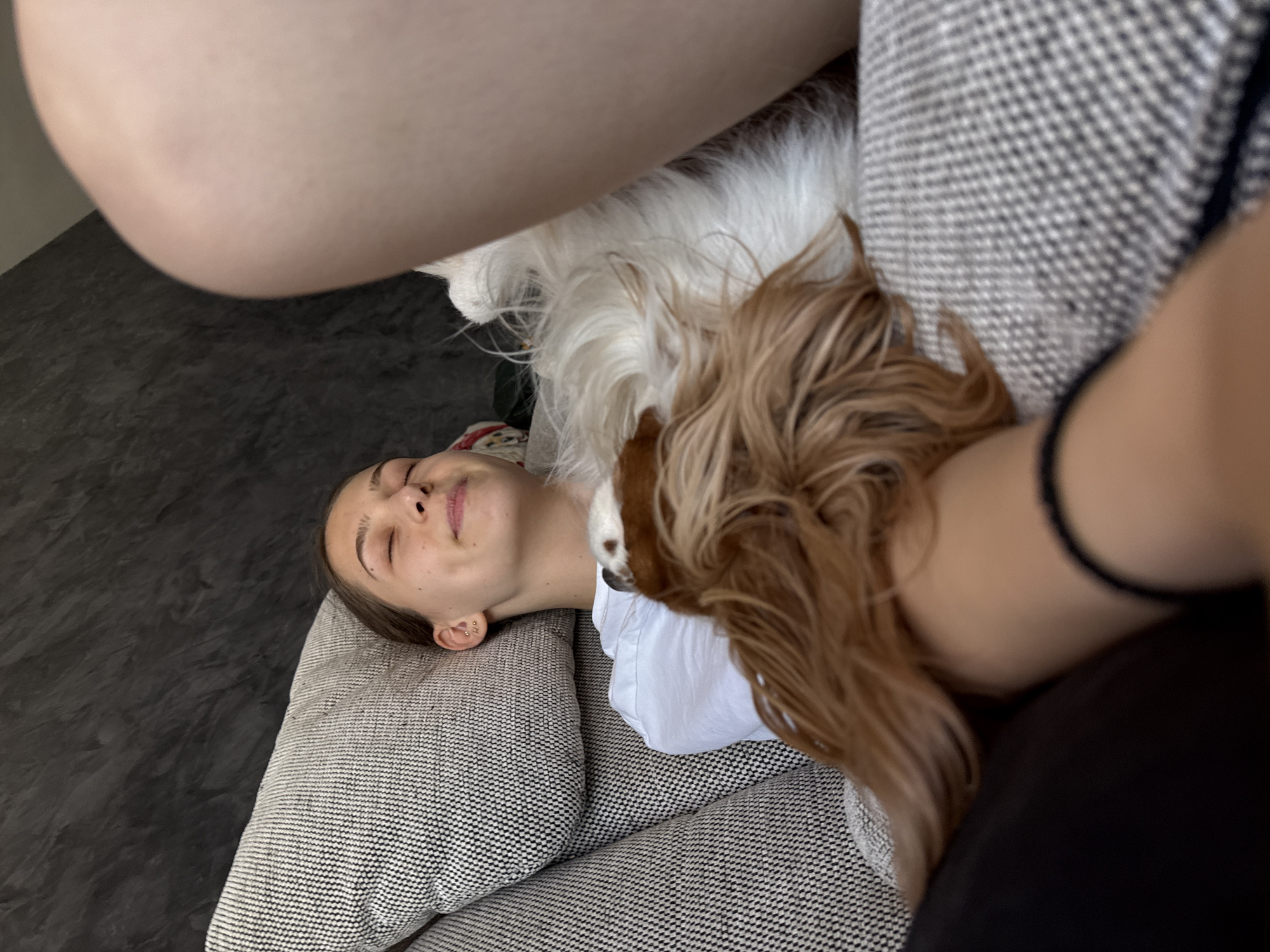 A woman is lying on a gray patterned sofa. A white and brown dog is on top of her. The woman has her eyes closed and appears relaxed. The environment is indoors, and the location is unspecified. No specific location in Sofia, Bulgaria, can be determined from the image.