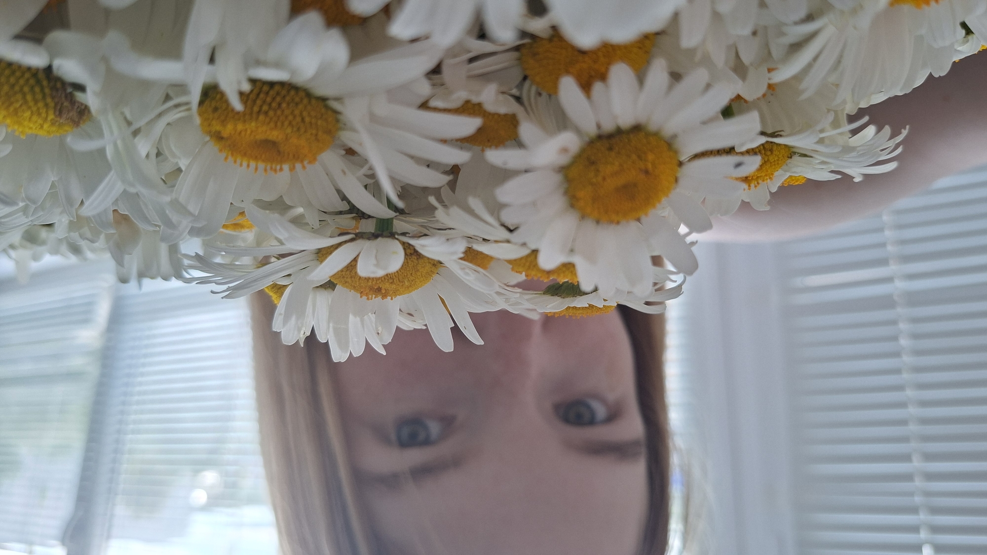 A close-up shot captures a young woman holding a bouquet of daisies, with only her eyes and forehead visible above the flowers. The woman has light brown hair and light blue eyes. The background consists of a window with horizontal blinds, suggesting an indoor setting, possibly a home or a room in Chaikovsky, Russia. The lighting is soft and natural, filtering through the blinds. The daisies are white with yellow centers and fill the foreground of the image.