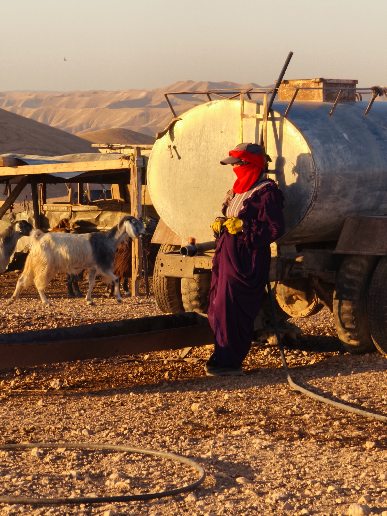 In the city of Keidar, Palestinian Territories, a person wearing a dark purple robe, a red face covering, a dark cap, and yellow gloves stands next to a large, circular metal water tank on a truck. The person is positioned in front of the tank, with their body angled towards the viewer. A dark hose is visible on the ground in the foreground, extending from the bottom left of the frame towards the middle right. Several goats are present in the background, standing near a wooden structure with a corrugated metal roof. The environment appears arid, with dusty, rocky ground and rolling hills in the distance under a pale sky. The lighting suggests either dawn or dusk, with warm tones illuminating the scene.