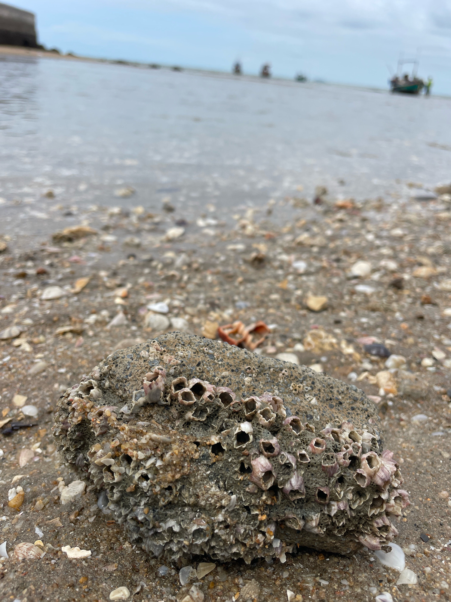 A close-up, eye-level shot focuses on a rock encrusted with barnacles resting on a sandy beach littered with shell fragments. The rock is positioned in the foreground, with the tide gently lapping at the shore behind it. In the shallow water, several small fishing boats are visible in the distance, some appearing to be actively fishing or traveling. The sky above is overcast with soft, diffused light. The scene appears to be a coastal area, likely in Ban Na Chom Thian, Thailand, given the presence of fishing boats typical of the region. The overall atmosphere is calm and natural.
