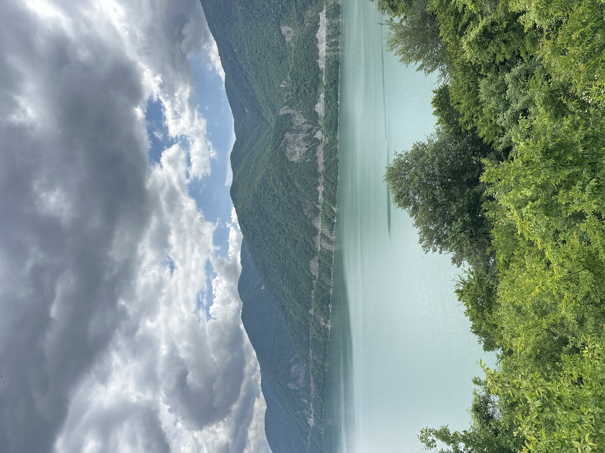 The image displays a picturesque landscape dominated by a vast, turquoise body of water that stretches towards a range of lush, green mountains. The water's surface is calm, with subtle ripples reflecting the overcast sky. The mountains, densely covered in trees, rise majestically in the background, their slopes showing varying shades of green. A road or pathway is visible winding along the mountainside near the water's edge, suggesting human presence in this natural setting. The sky above is a dramatic mix of dark, heavy clouds and patches of bright blue, hinting at a dynamic weather pattern. In the foreground, a thick band of vibrant green foliage, consisting of trees and bushes, frames the view of the water and mountains. The scene evokes a sense of tranquility and natural beauty, with no people or animals visible. The location is identified as Aranisi, Georgia, a place known for its stunning natural scenery.