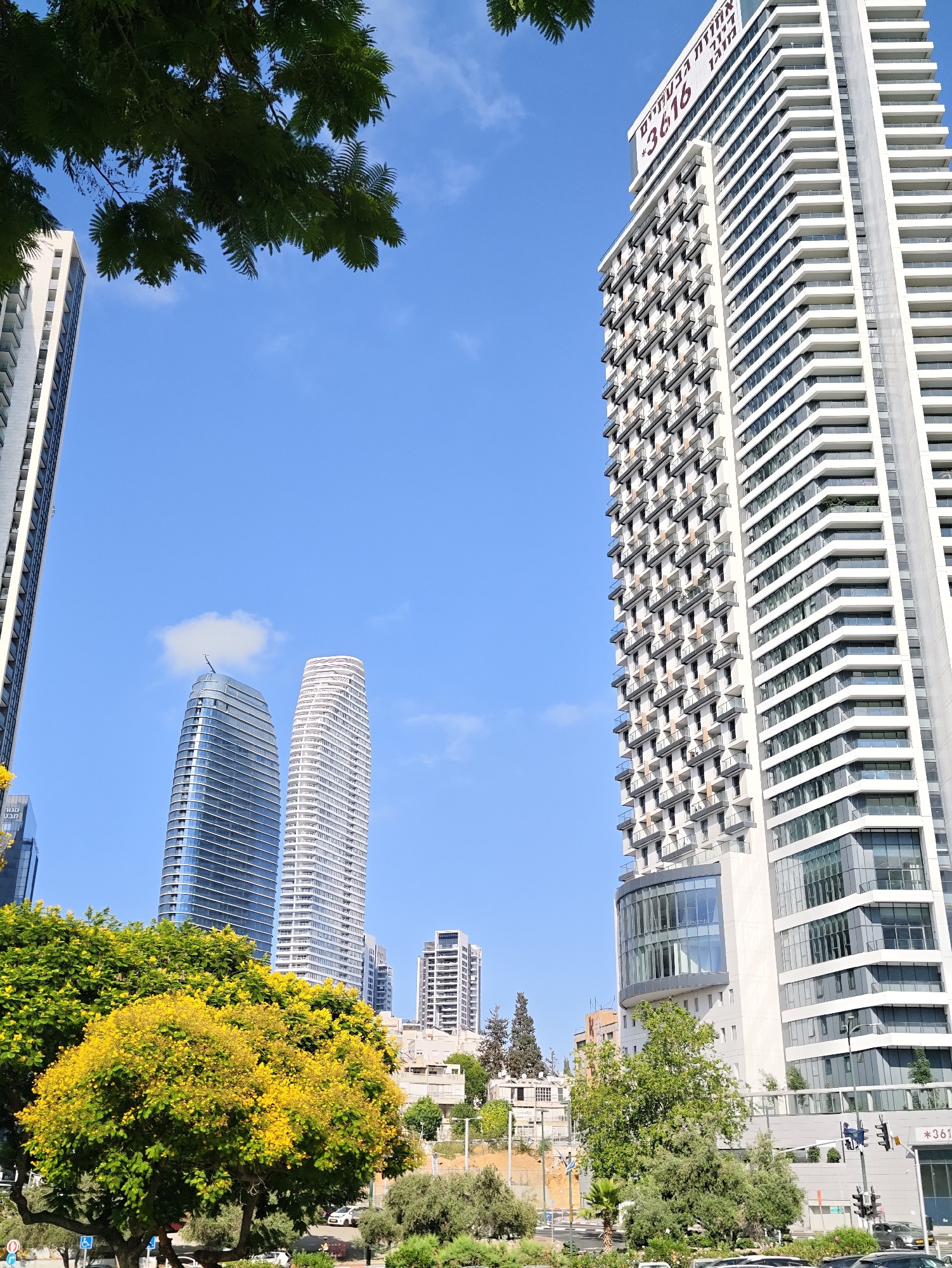 The image shows a modern city skyline in Tel Aviv, Israel, on a clear blue day. In the foreground, lush green trees with bright yellow blossoms provide a vibrant contrast to the tall buildings behind them. The most prominent structure is a white, multi-story skyscraper with numerous balconies and a distinctive curved glass section near its base. Above it, a large red sign displays Hebrew text and the number "3616." To the left of this building, two other distinct skyscrapers are visible: one with a sleek, curved glass facade and another tall, white building with a patterned exterior. In the background, other residential and commercial buildings of varying heights are scattered across the cityscape. Traffic lights and street signs are visible at the bottom of the frame, suggesting a busy urban environment. The presence of cars on the road further confirms the urban setting. The image captures a blend of nature and modern architecture.