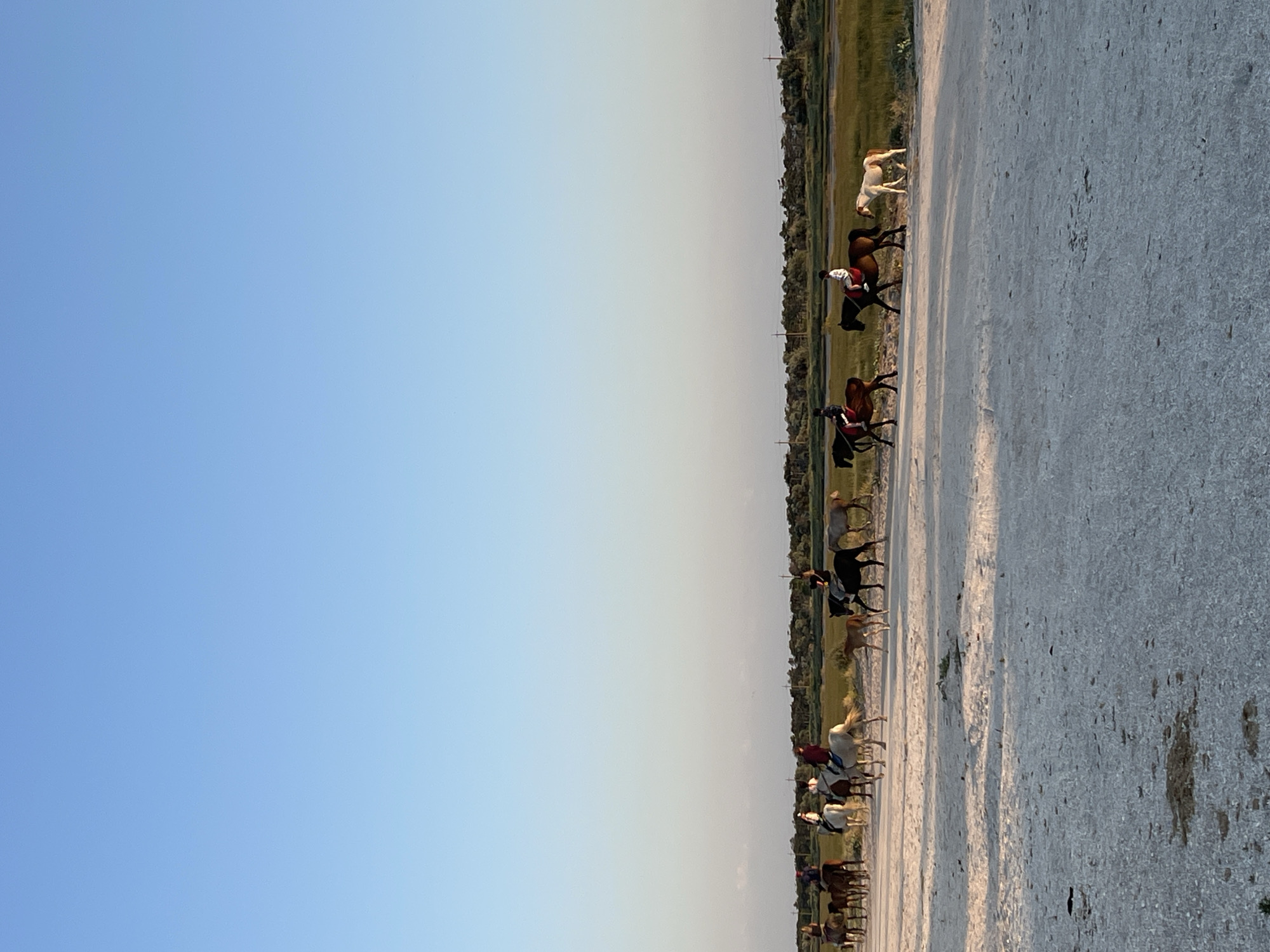 A group of horses and riders are moving along a dirt path. The sun is low in the sky, casting long shadows and suggesting it is either early morning or late evening. The sky is clear and blue. The horses are of various colors, including white, brown, and black. Some of the riders are wearing red shirts. In the background, there is a line of trees and vegetation. The ground is a light-colored dirt or gravel. The scene appears to be in an open, rural area, consistent with the provided location context of Мысовское сельское поселение, Ukraine. No text is visible in the image.
