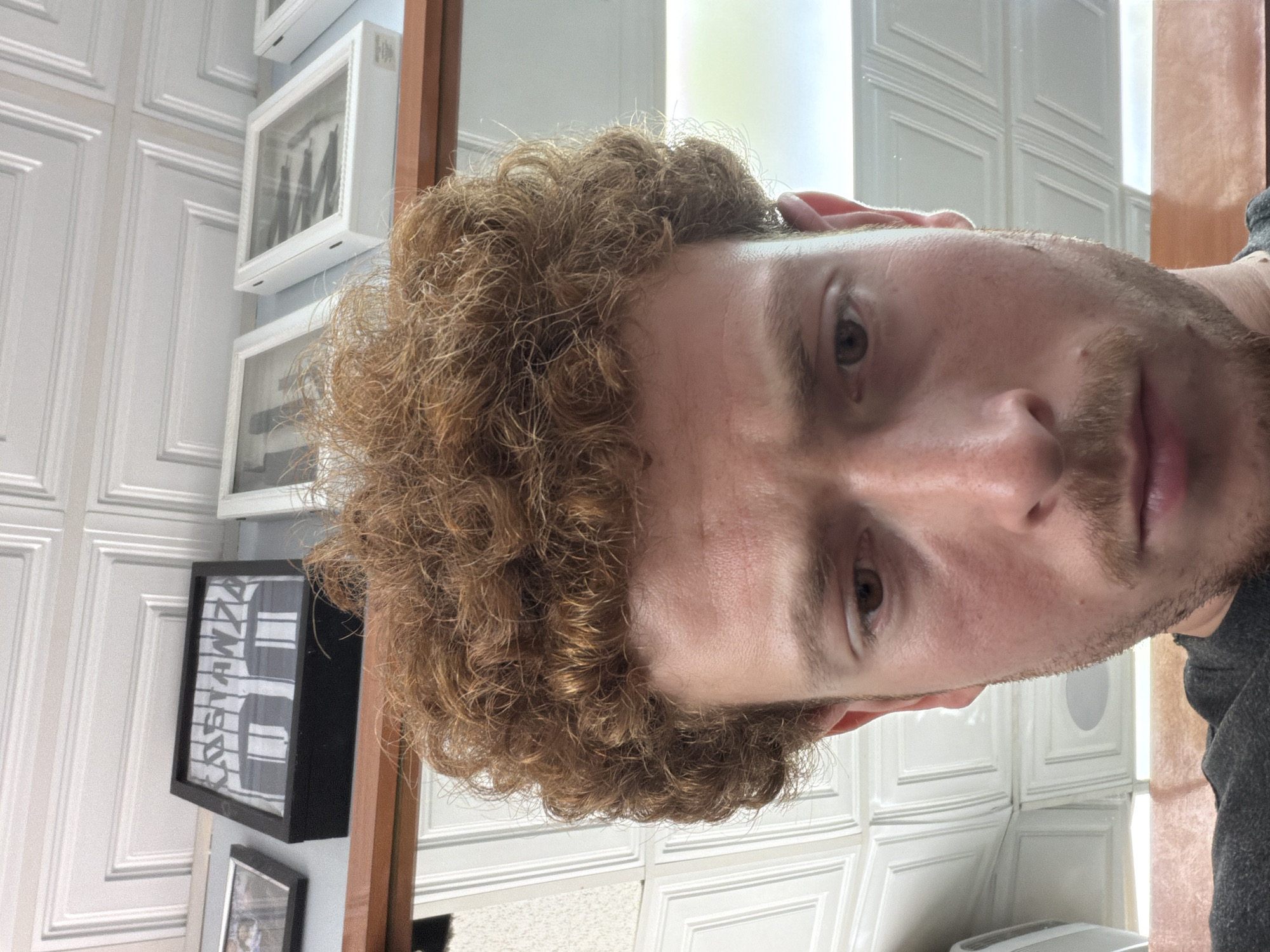 A close-up portrait of a fair-skinned man with curly, reddish-brown hair and a light beard. He is facing the camera. The background consists of a wall with decorative panels, various framed pictures, and a mirror. It is difficult to determine the specific location within New York City, but the interior design suggests a residential setting.