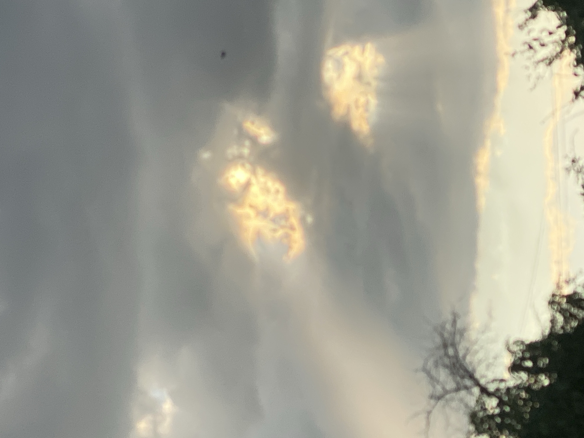 The image captures a sky filled with grey clouds, through which shafts of golden light are breaking. These beams illuminate patches of the clouds, creating a dramatic and somewhat surreal effect. In the lower portion of the image, the silhouettes of tree branches and foliage are visible against a lighter, possibly sunlit, horizon. A small, dark object, possibly a bird or insect, is present in the upper right quadrant of the sky. The scene does not contain any identifiable landmarks or structures that would place it specifically within the city of Cahul, Moldova. The overall impression is one of natural atmospheric phenomena.