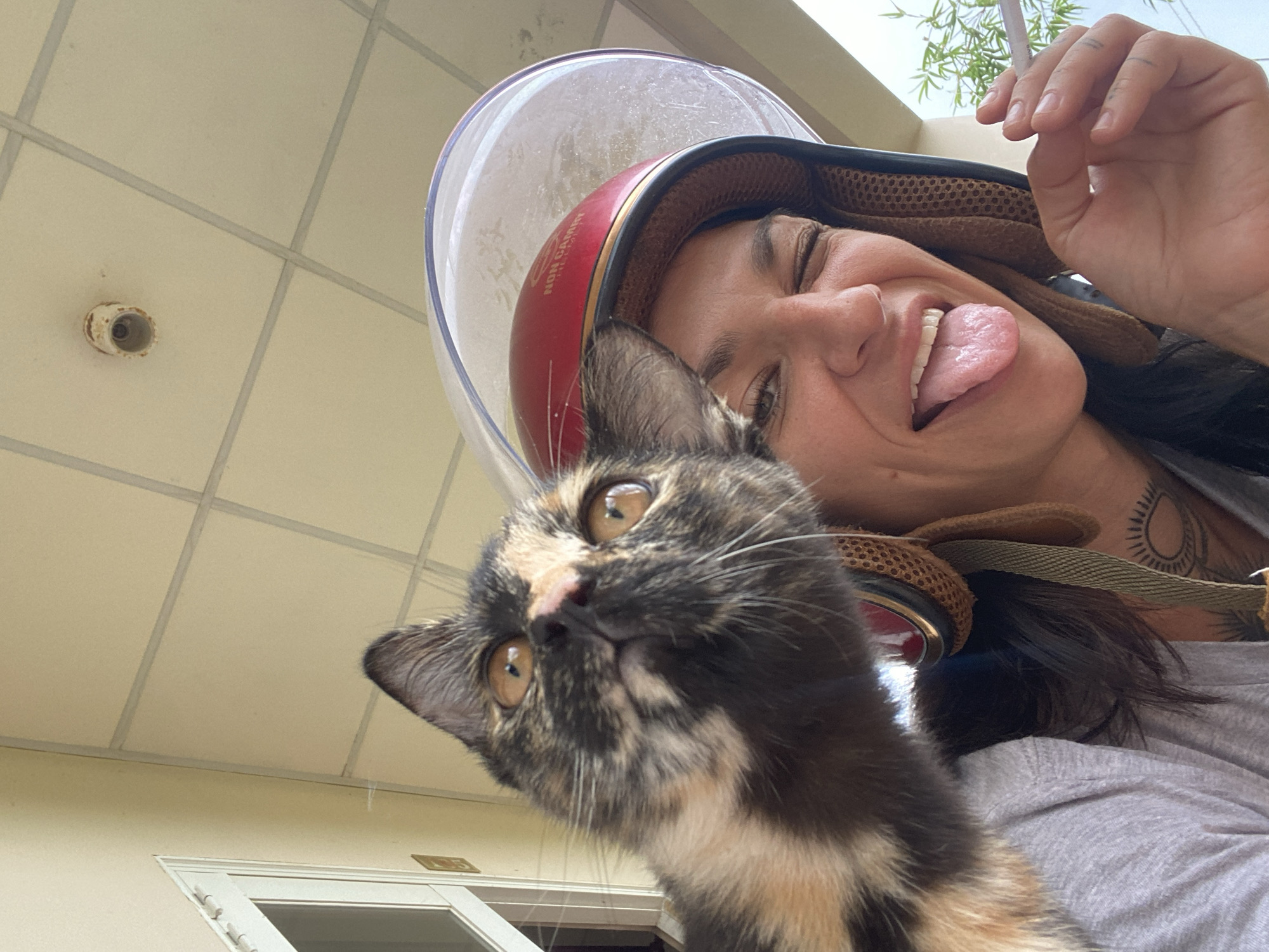 A playful, low-angle selfie captures a person and a tortoiseshell cat in what appears to be an outdoor or semi-outdoor setting in Mũi Né, Vietnam. The woman, seen from the chest up, wears a red and black motorcycle helmet with a clear visor that has faint text reading "NON CANDY." She winks and playfully sticks her tongue out, indicating a fun and lighthearted moment. Her dark hair is visible beneath the helmet, and she has tattoos on her arm/shoulder, including a sunburst-like pattern.
In the foreground, a cute tortoiseshell kitten with patches of black, orange, and white fur looks upwards with curious amber eyes. The background features a cream-colored tiled ceiling with visible grout lines, suggesting an overhang or a covered area. A small, cylindrical fixture, possibly an old pipe or light mount, protrudes from the ceiling. Below the ceiling, a white door or window frame is partially visible, and to the upper right, green, bamboo-like foliage can be seen against a bright sky, indicating it is daytime with clear weather.