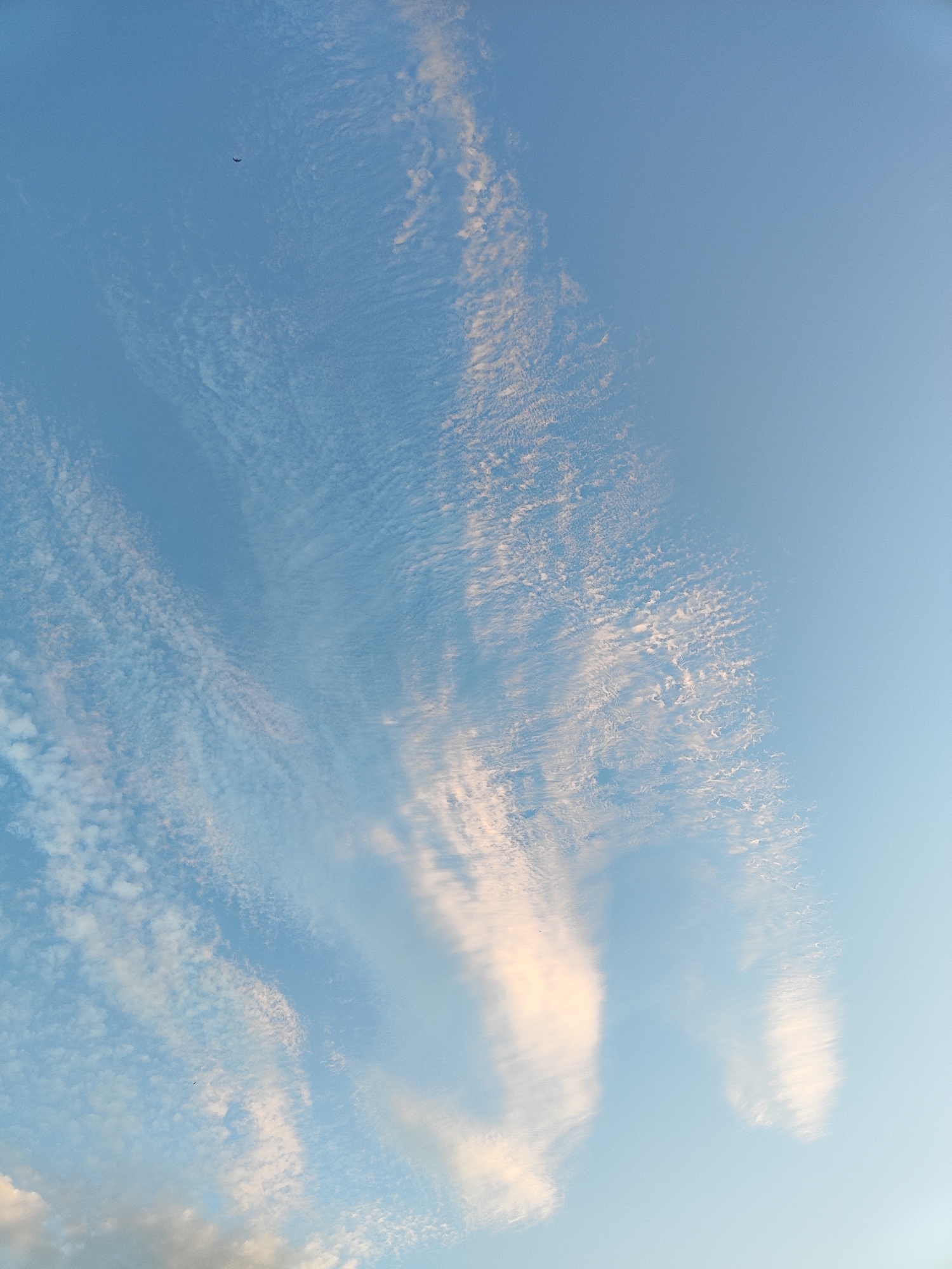 A close-up, vertical, upward-facing shot captures a sky with wispy clouds. The clouds are predominantly white and tinged with pale orange, suggesting either sunrise or sunset. The sky itself is a clear, light blue. In the upper left quadrant of the image, a small, dark silhouette of an airplane is visible. The image does not provide any specific details or landmarks that would allow for identification of a location within Offenburg, Germany.