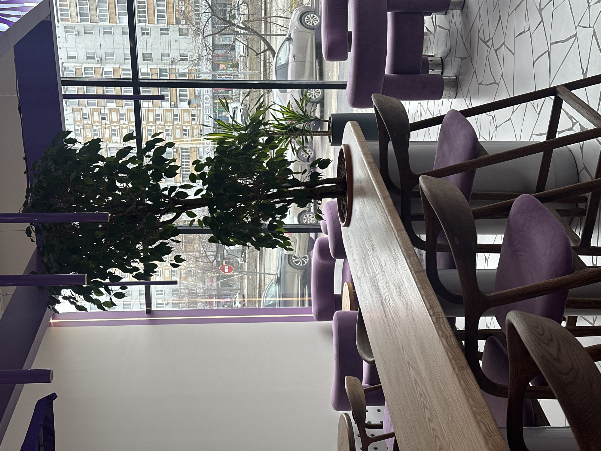 The image depicts the interior of a cafe or restaurant. A long, light-colored wooden table occupies the center of the frame, with numerous chairs upholstered in a light purple color. The chairs have wooden frames and backs. Potted plants, including a leafy tree and another with pointed leaves, are integrated into the table design. A large window provides a view of a city street, with buildings, parked cars, and other urban elements visible. The walls of the cafe are white with purple accents. The floor is covered in broken mosaic tiles.
The location is Kazan, Russia.