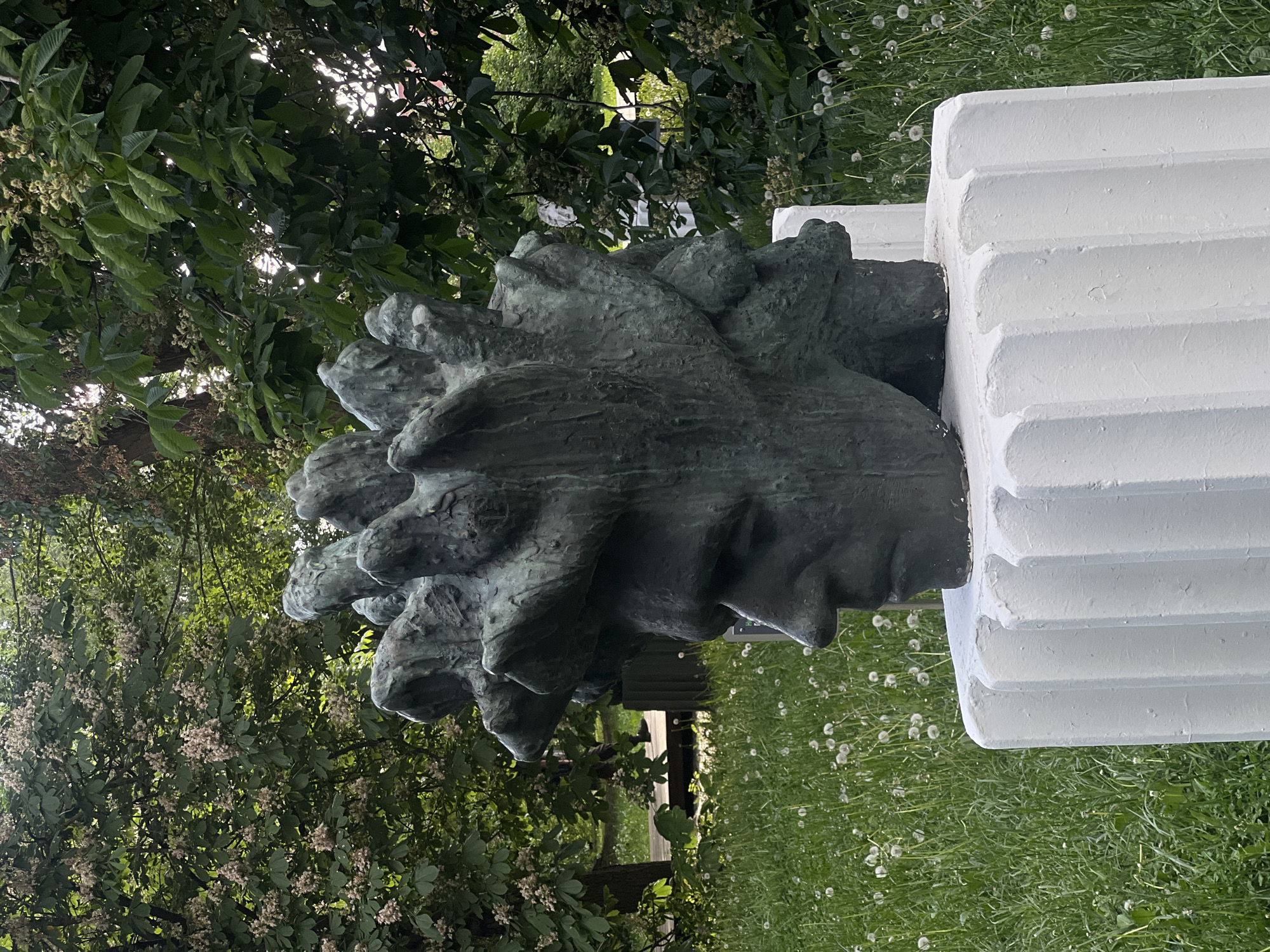 A bronze bust of Albert Einstein sits atop a fluted white plinth in a grassy area speckled with dandelions. The bust is a stylized depiction, with Einstein's characteristic unruly hair rendered in a series of textured protrusions. The plinth is situated within a park-like setting, with trees and foliage visible in the background. Based on the distinctive appearance and location of the statue, it can be identified as the Albert Einstein Monument located near the Moscow State Pedagogical University in Moscow, Russia. A wooden bench is visible in the background.
