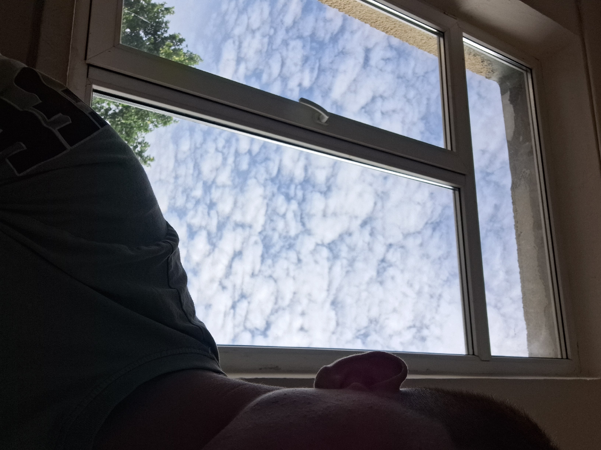 The image shows a close-up view from the perspective of someone looking out a window. The window is divided into two sections, with the left section showing trees and the sky, and the right section framing the person's ear and head. The sky is filled with scattered white clouds against a blue backdrop. The window frame appears to be white plastic, and a window handle is visible on the vertical divider. The person is wearing a dark t-shirt with a graphic design on the sleeve. The lighting suggests it is daytime, and the overall scene gives the impression of being indoors, looking out. No specific location in Varna, Bulgaria can be identified from the visual information provided.