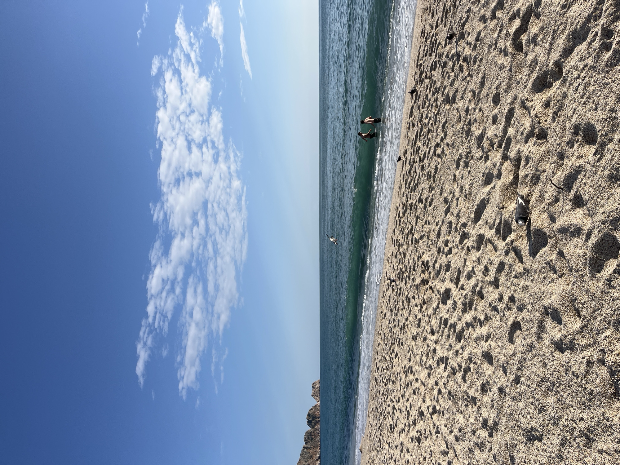 The image shows a beach scene in Alanya, Turkey. The sky is mostly clear blue with a scattering of white clouds on the left side. The sea is a deep turquoise color, meeting the sandy beach. Two people are wading in the water, and several birds are scattered on the beach. A rocky headland is visible in the distance. The sand is beige and shows numerous footprints.