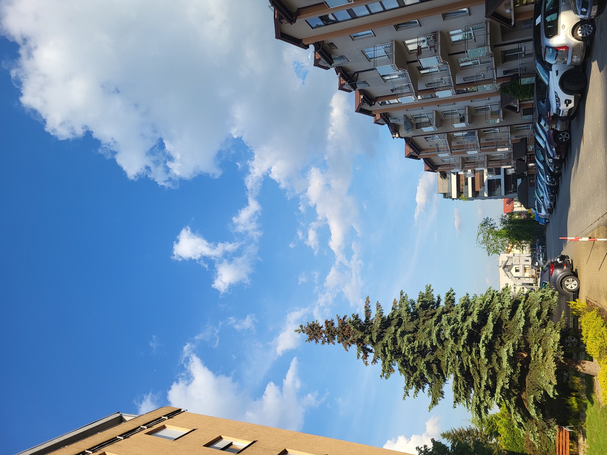 The image shows an outdoor scene in an urban environment. The sky is blue with scattered white clouds. Two buildings frame the scene. The one on the right is an apartment complex with multiple balconies. Parked cars line the street beside it. On the left, the bottom of a building is visible. A tall evergreen tree stands near the bottom.